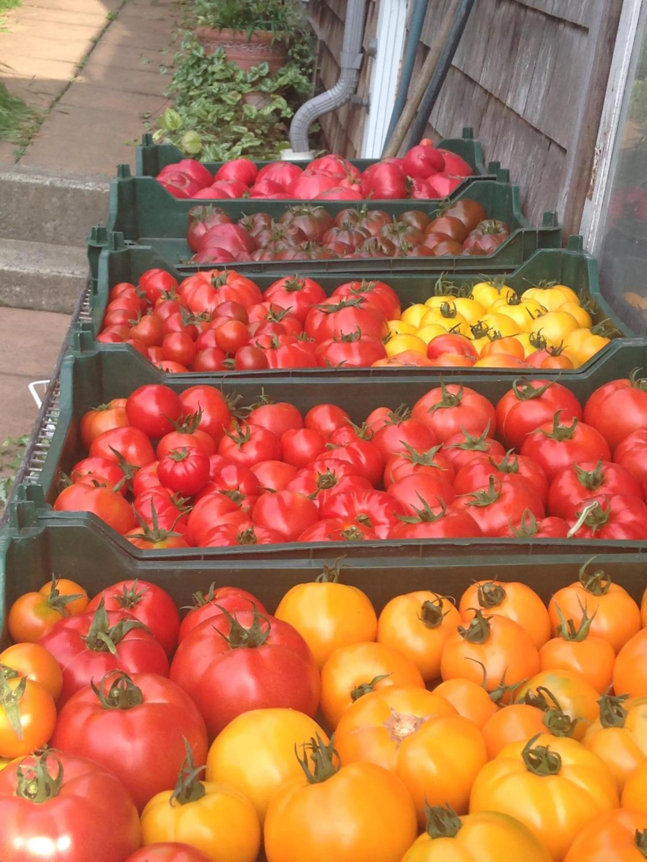 Other in Nettles Farm