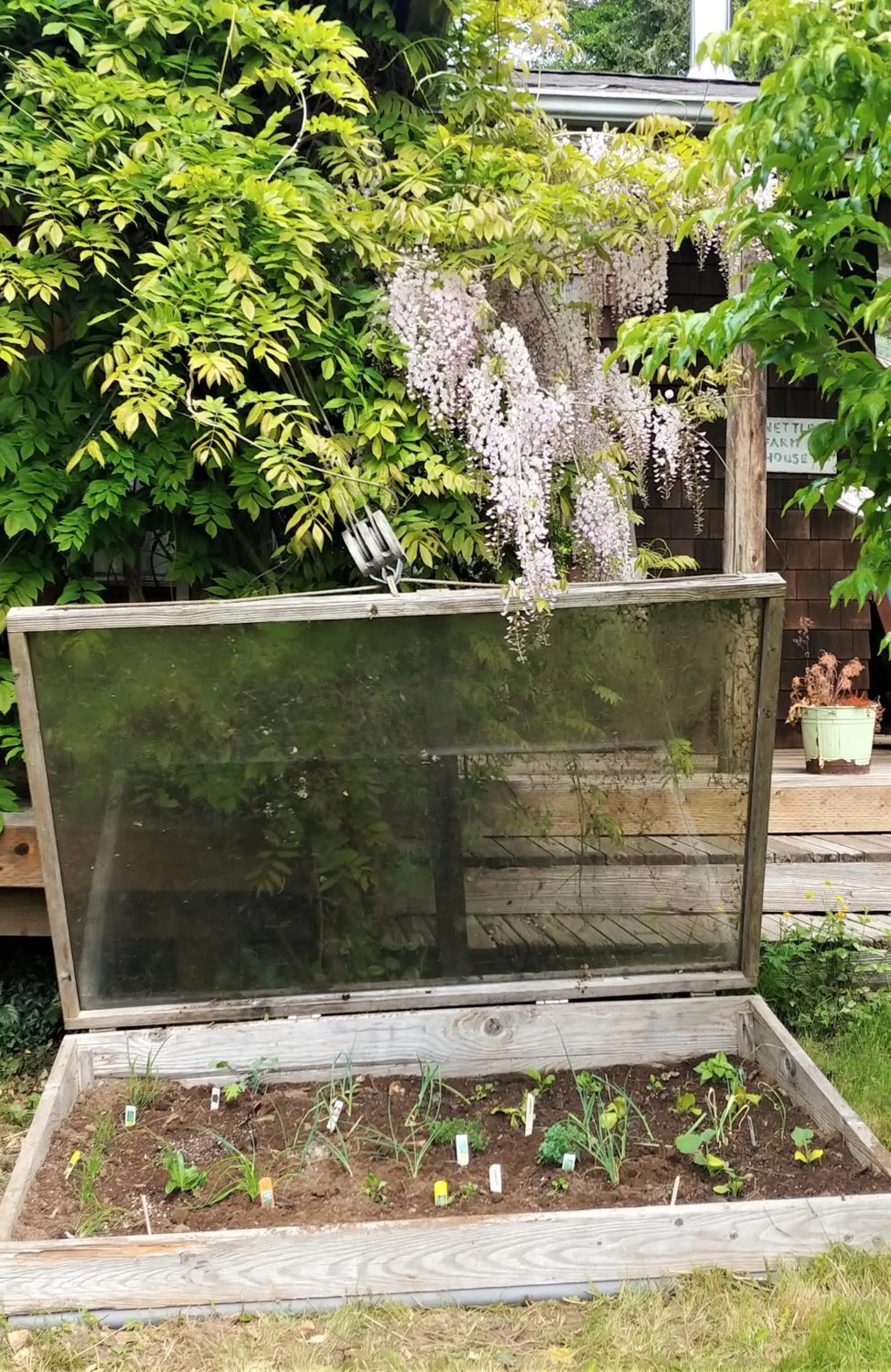 Food and drinks in Nettles Farm