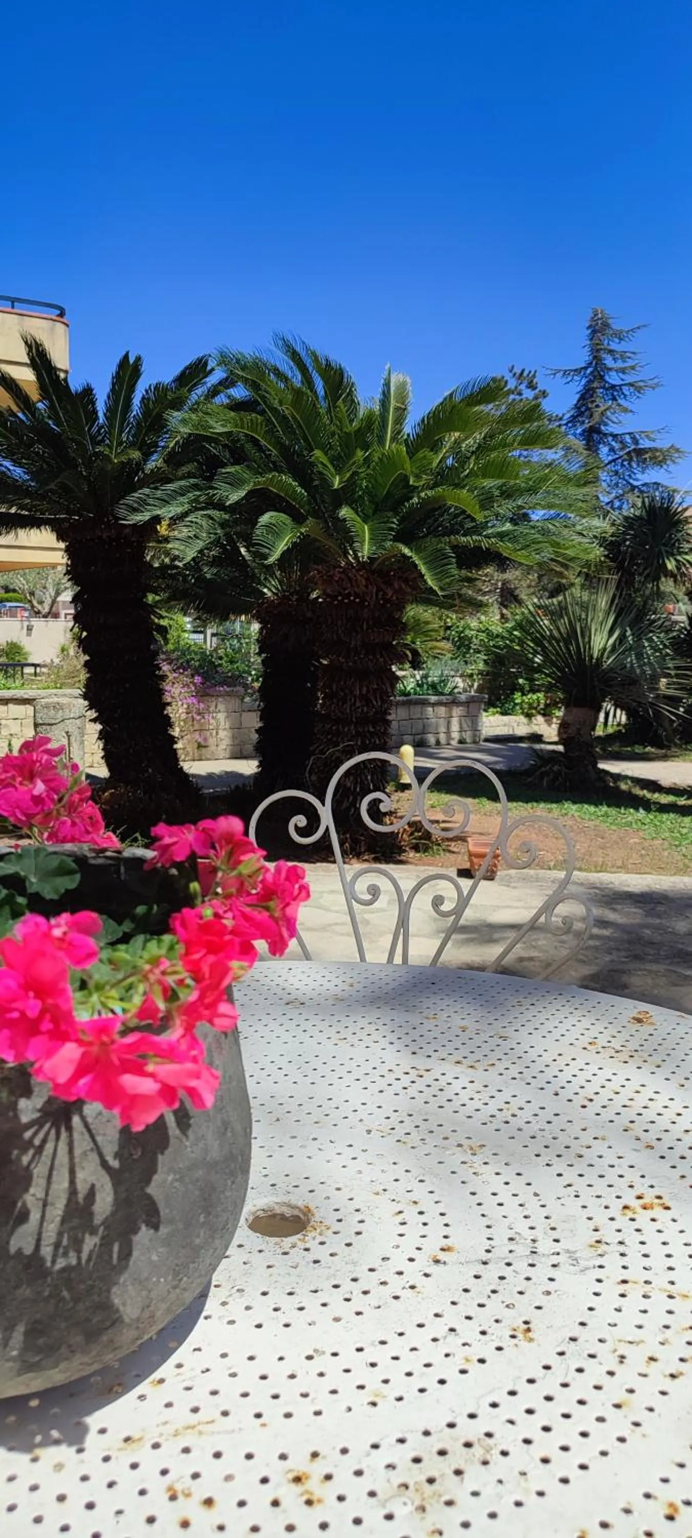 Garden in B&B Villa Victoria