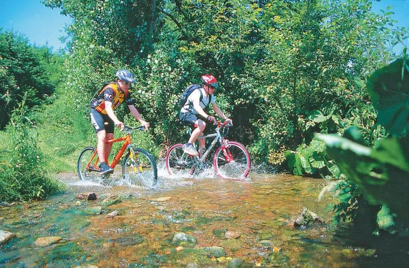 Cycling in Gasthof Westfeld