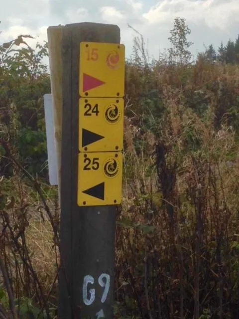 Cycling in Gasthof Westfeld