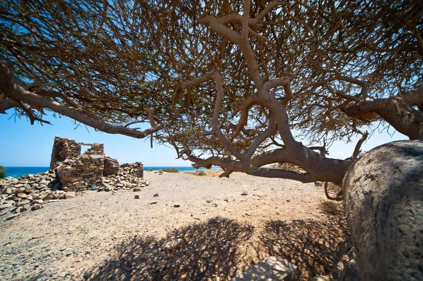 Natural landscape in Shams Alam Beach Resort