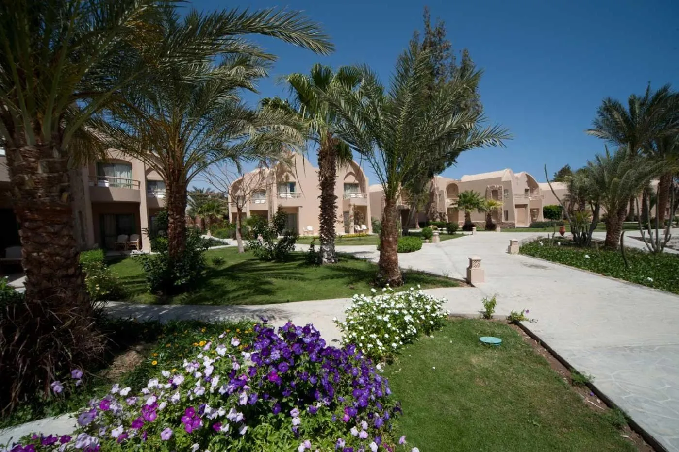 Property building in Shams Alam Beach Resort