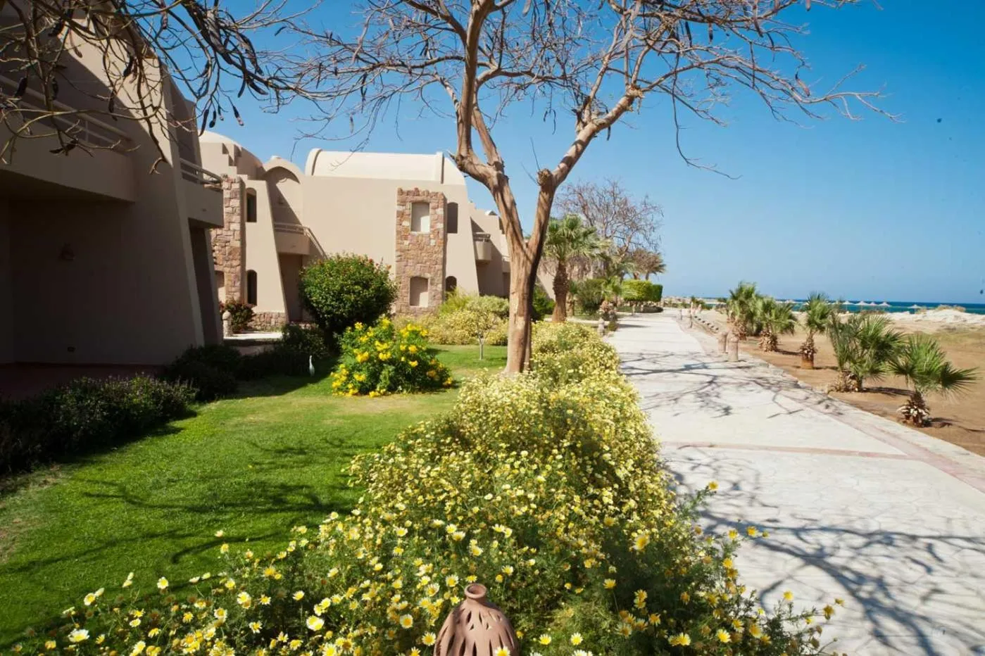 Garden in Shams Alam Beach Resort