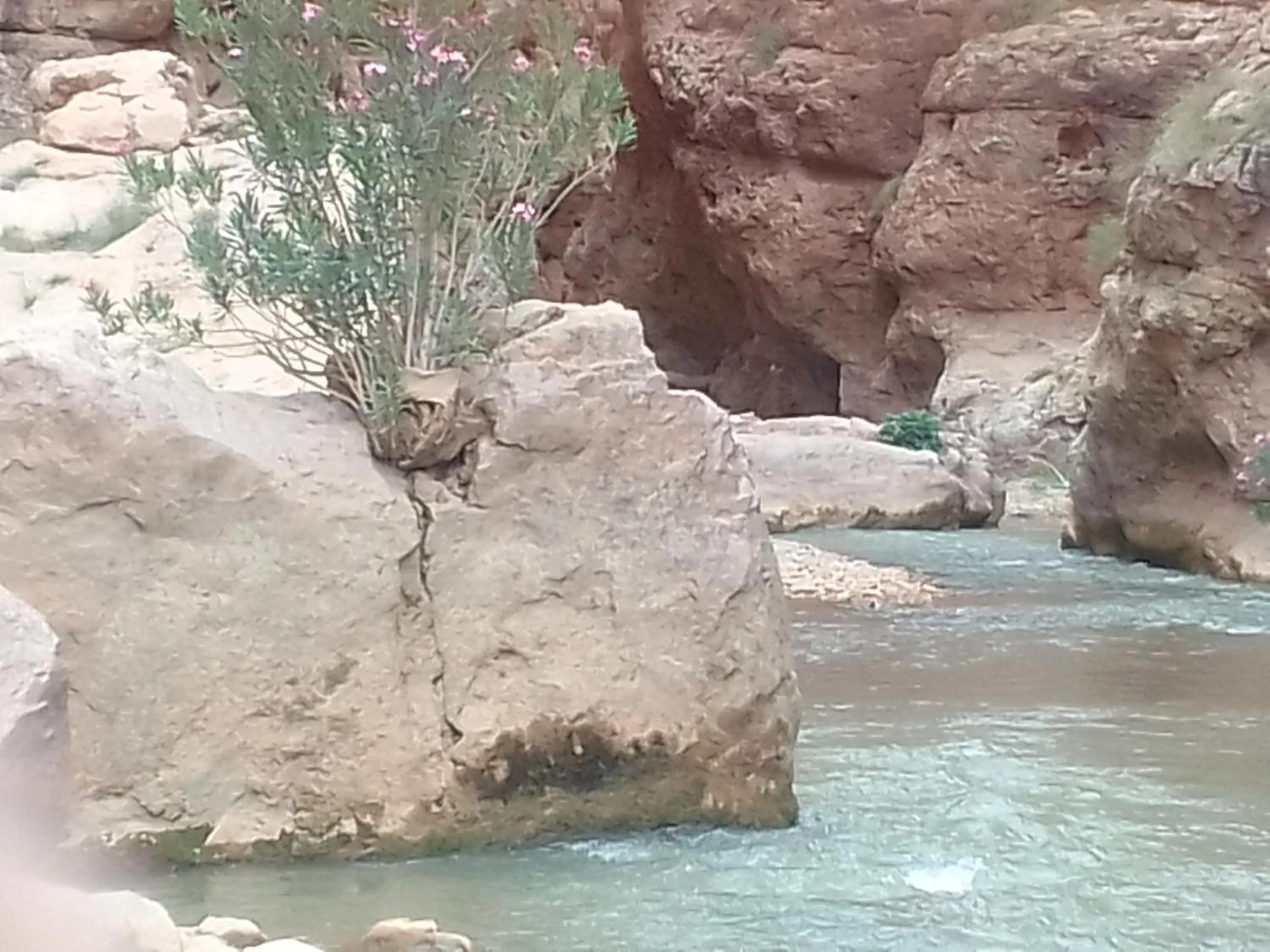 Day in Maison D'hote Amazir DADES