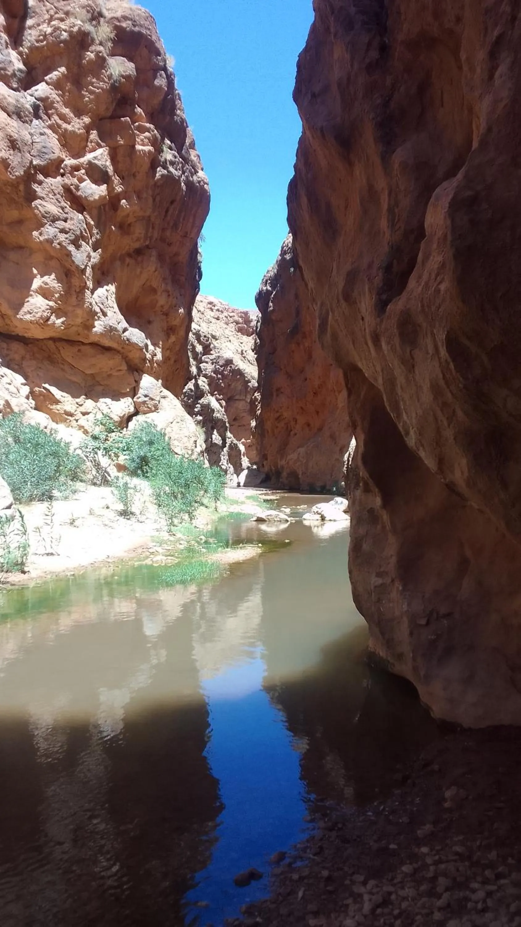 Maison D'hote Amazir DADES