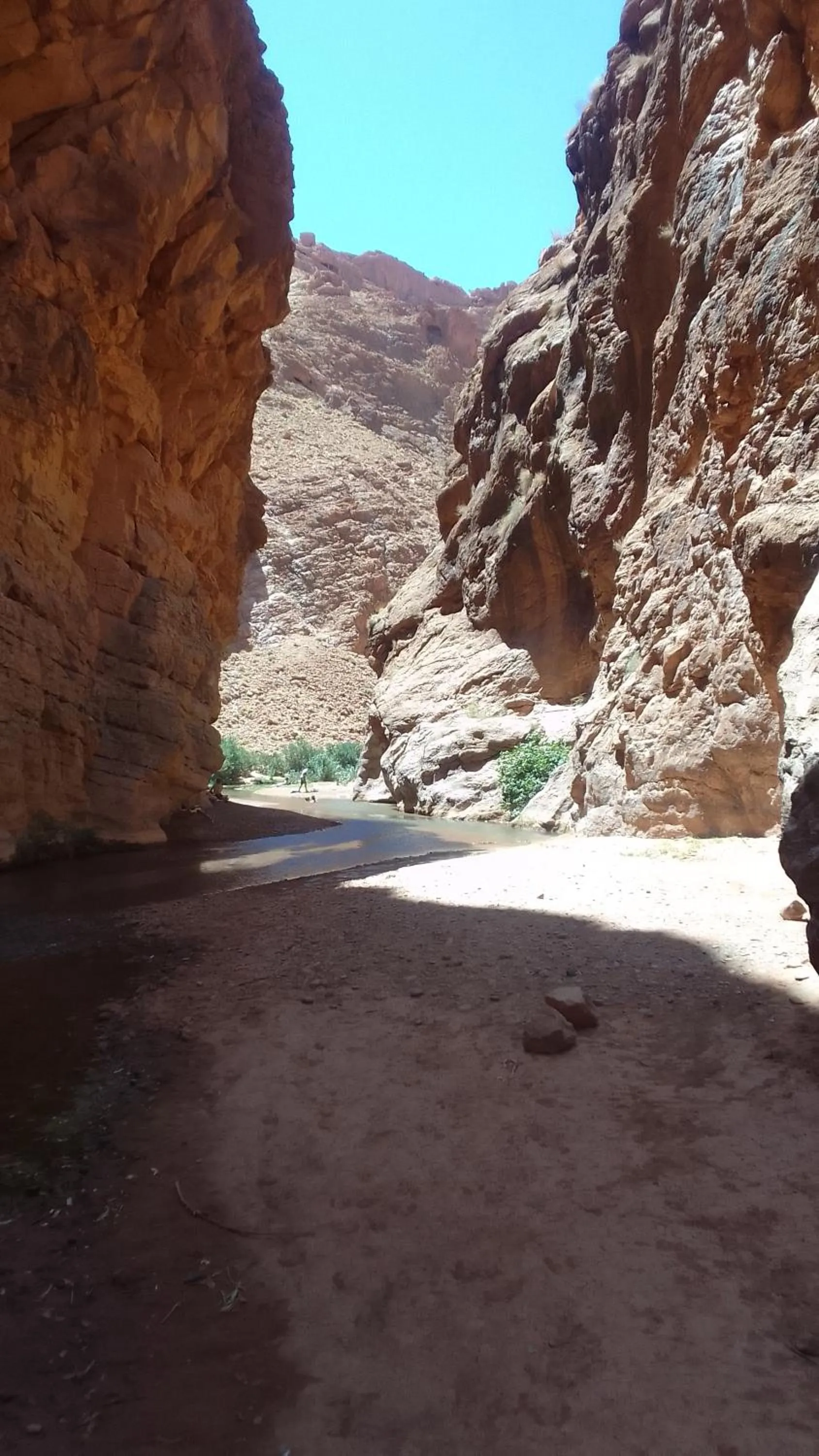 Maison D'hote Amazir DADES