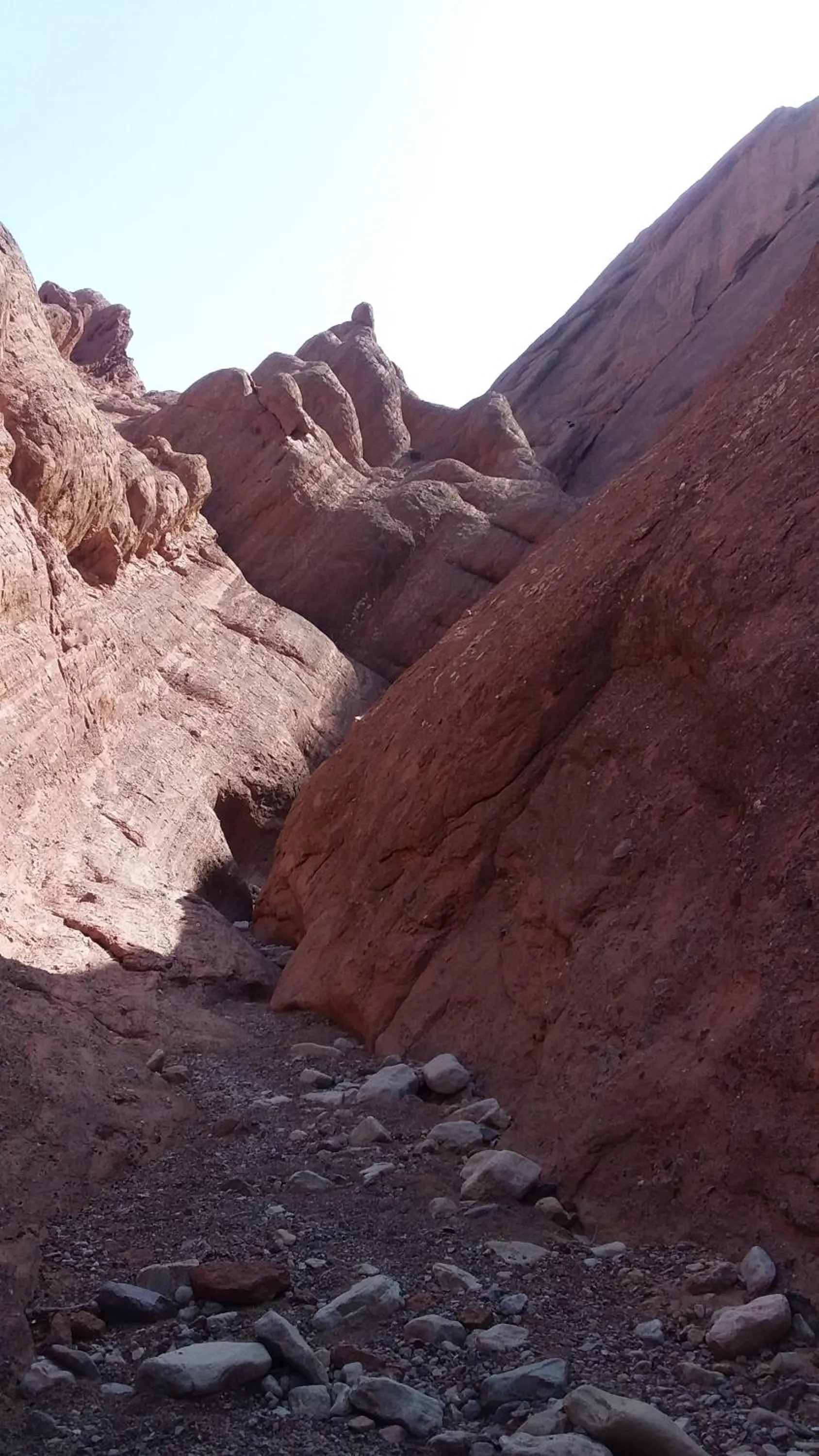 Natural landscape in Maison D'hote Amazir DADES