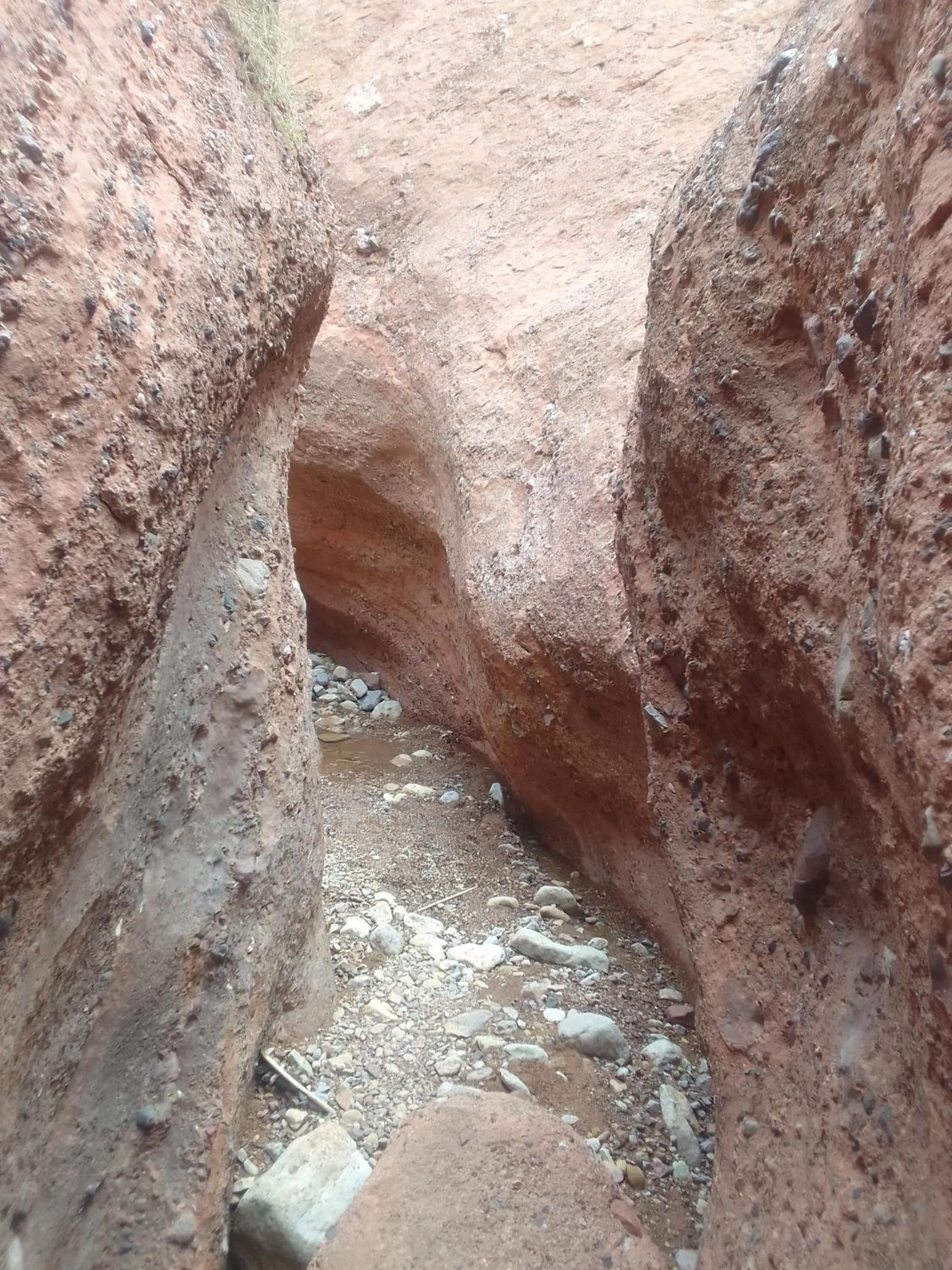 Day in Maison D'hote Amazir DADES