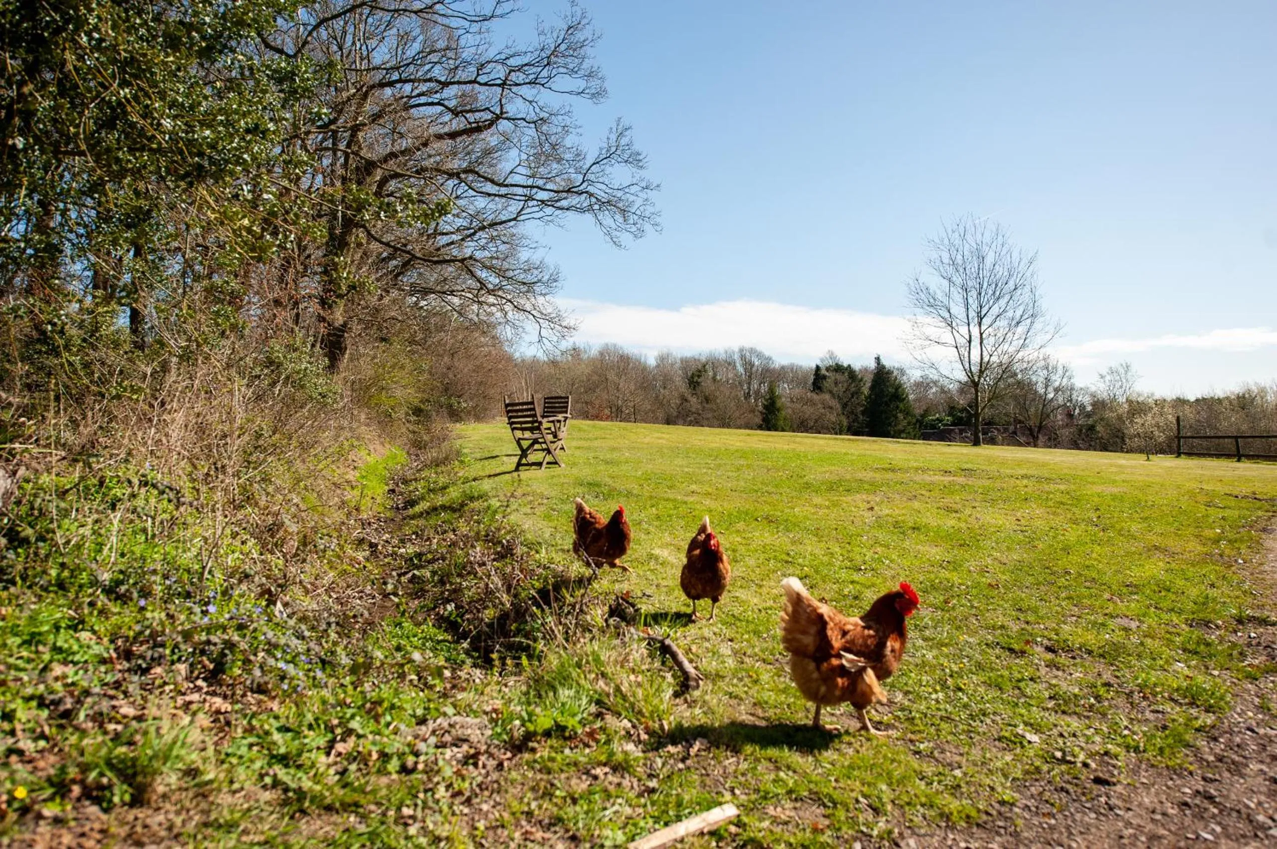 Natural landscape in Oakside Lodge Guest House