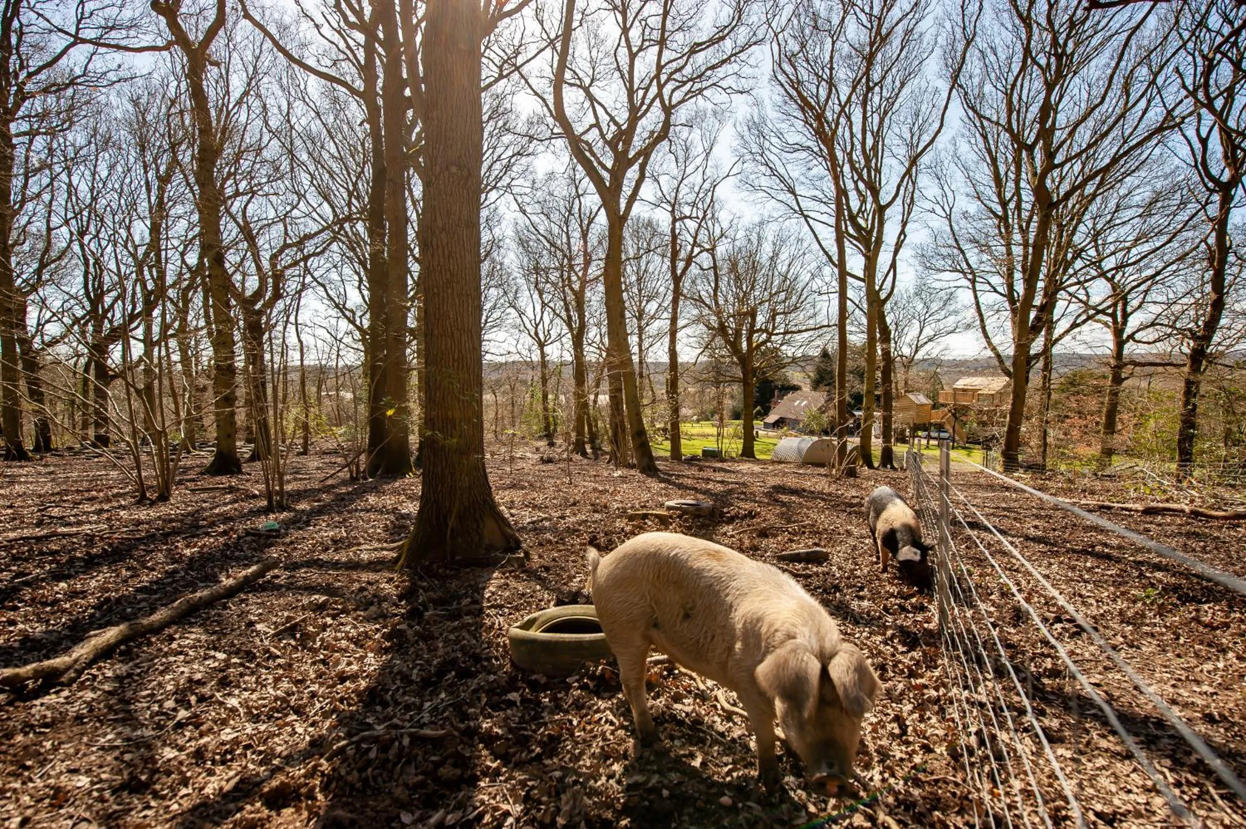 Other in Oakside Lodge Guest House
