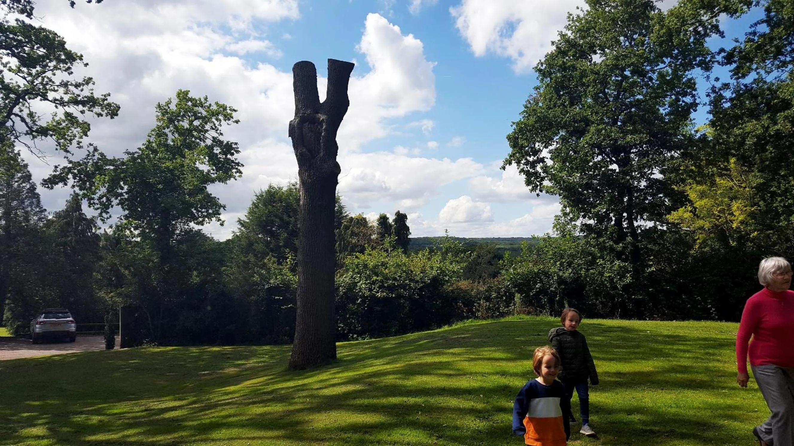 Natural landscape in Oakside Lodge Guest House