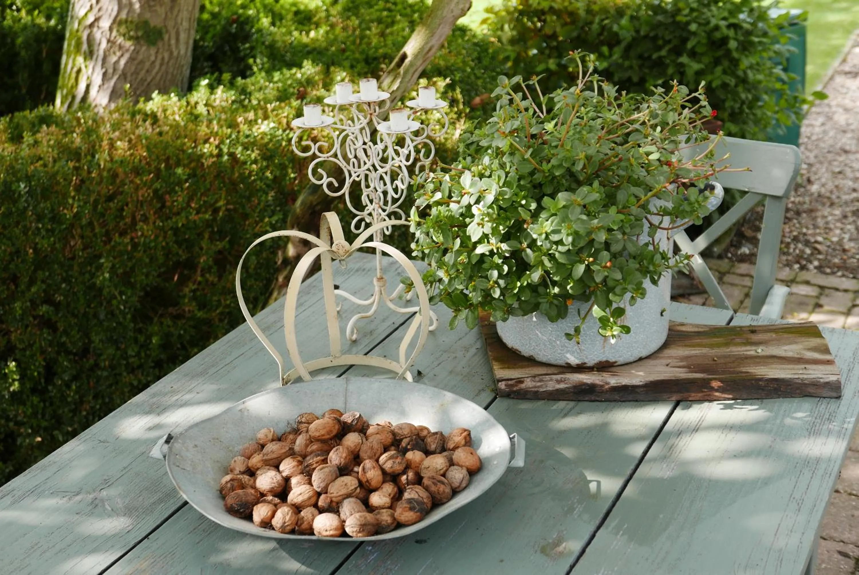 Day in B&B Bed en Omelet