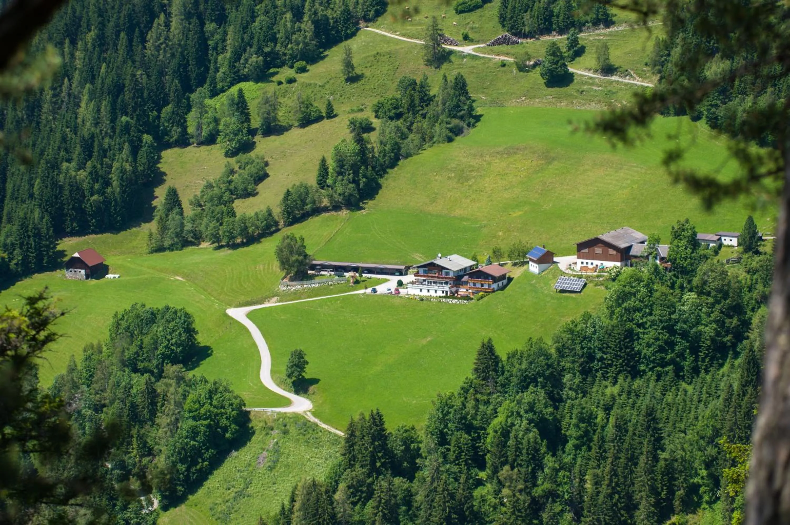 Natural landscape in Pension Bergbauernhof Irxner