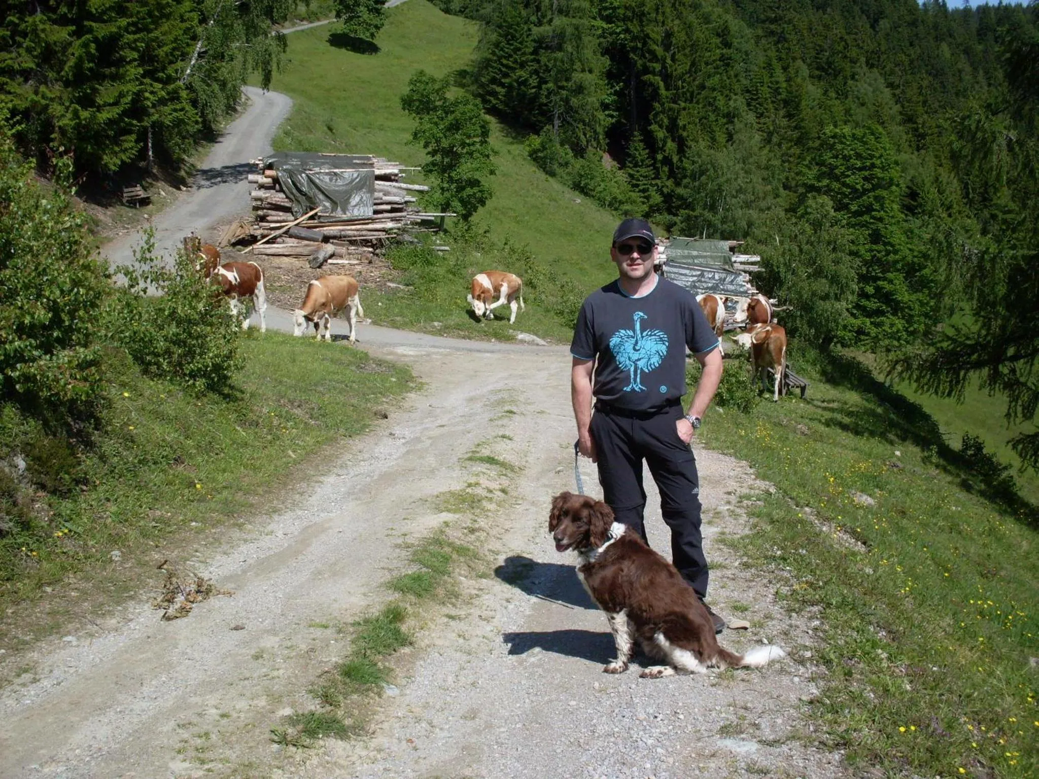 Hiking in Pension Bergbauernhof Irxner