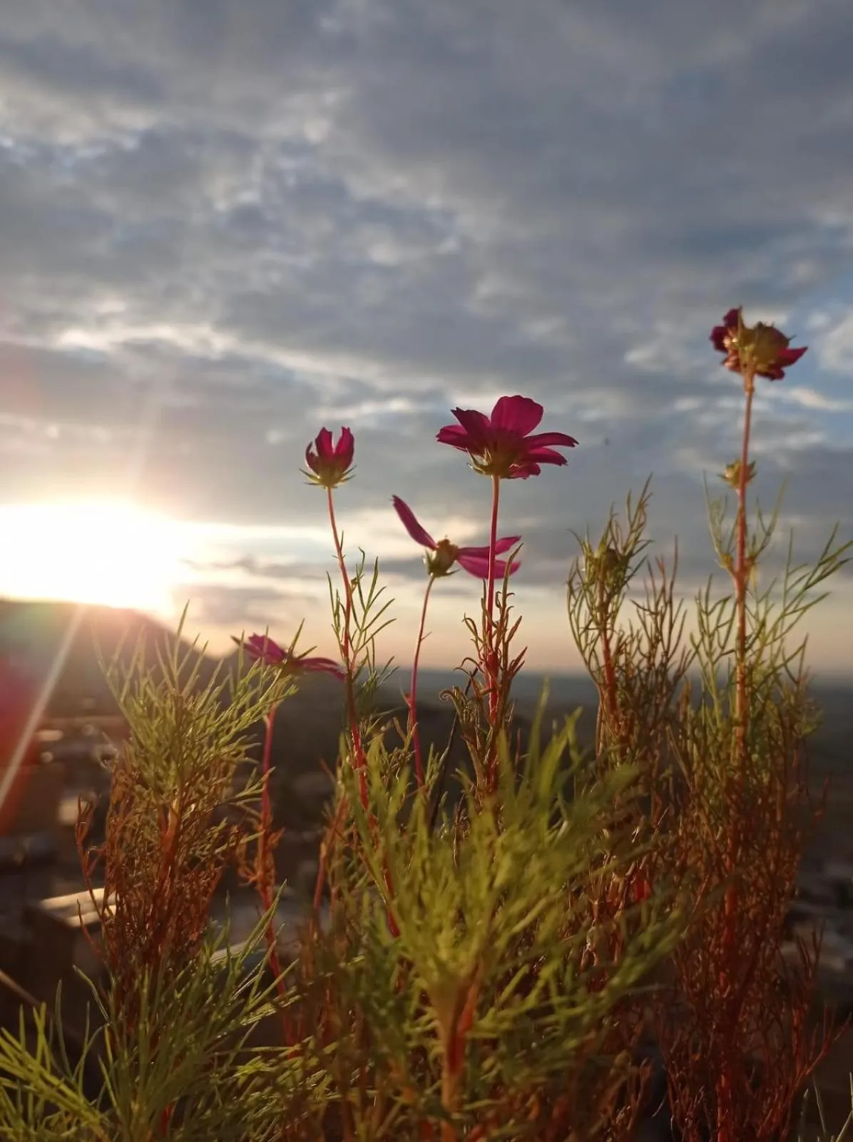 Spring in MERDİN BOUTİQUE HOTEL