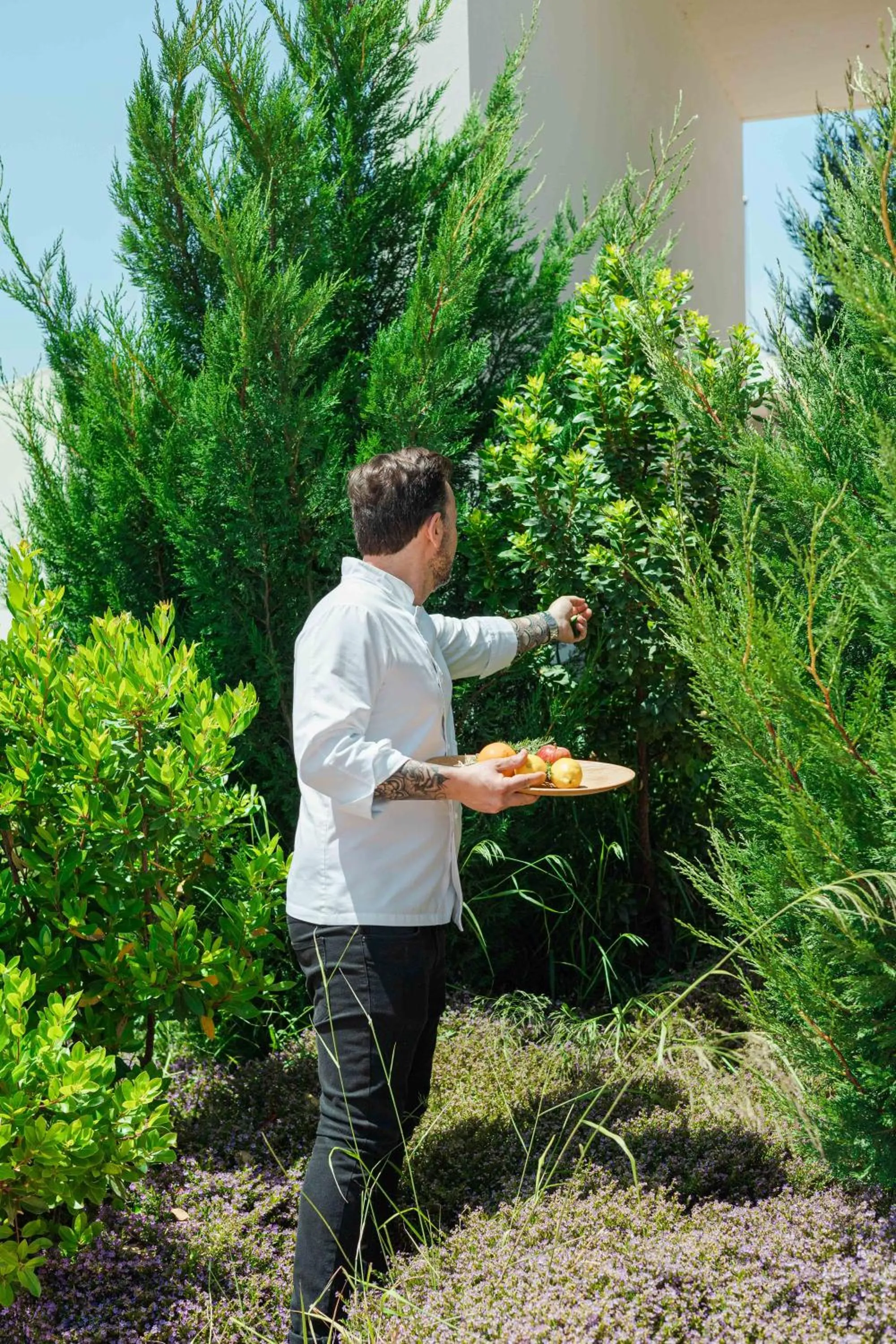 Garden in Herdade dos Delgados