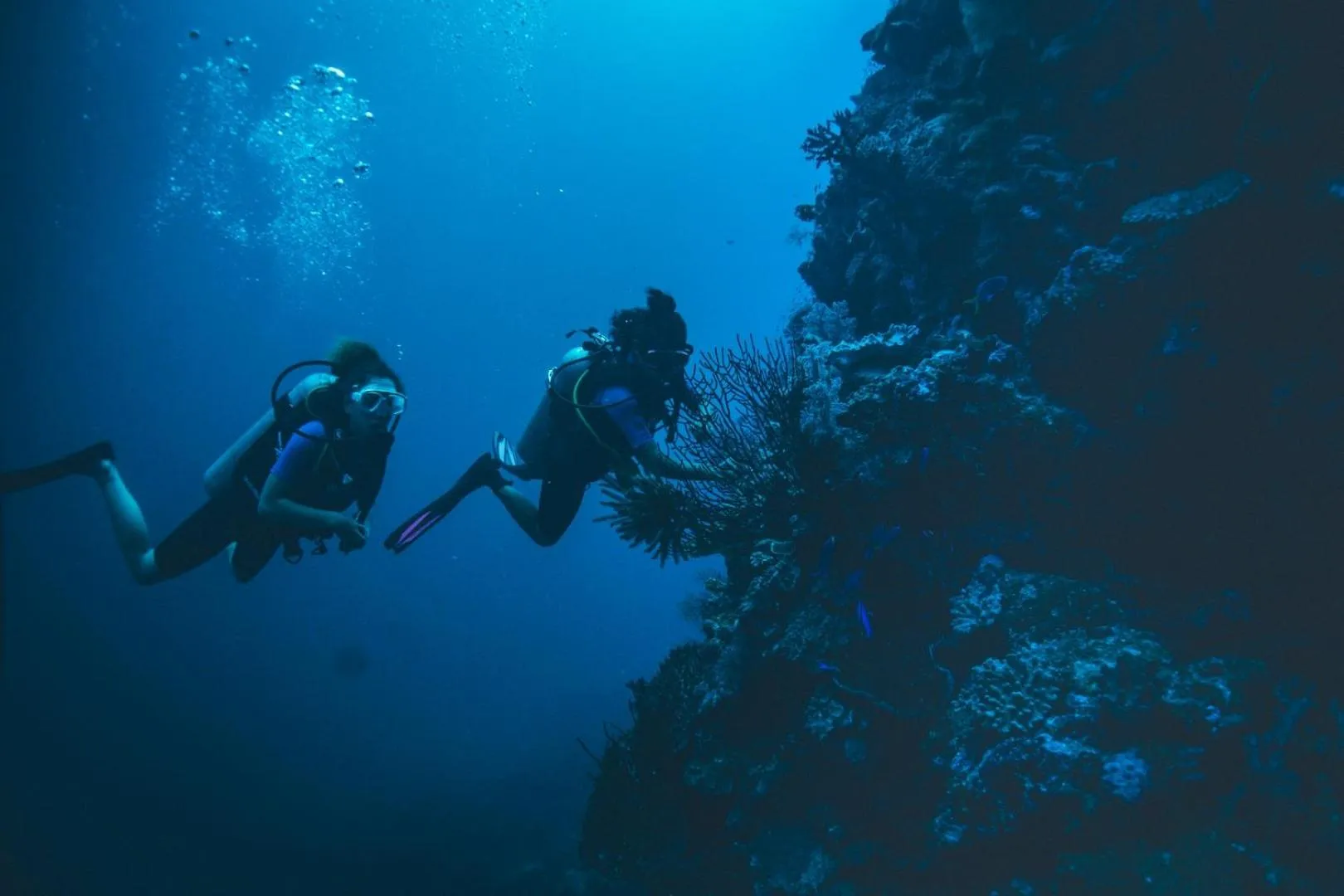 Diving in Loloata Island Resort