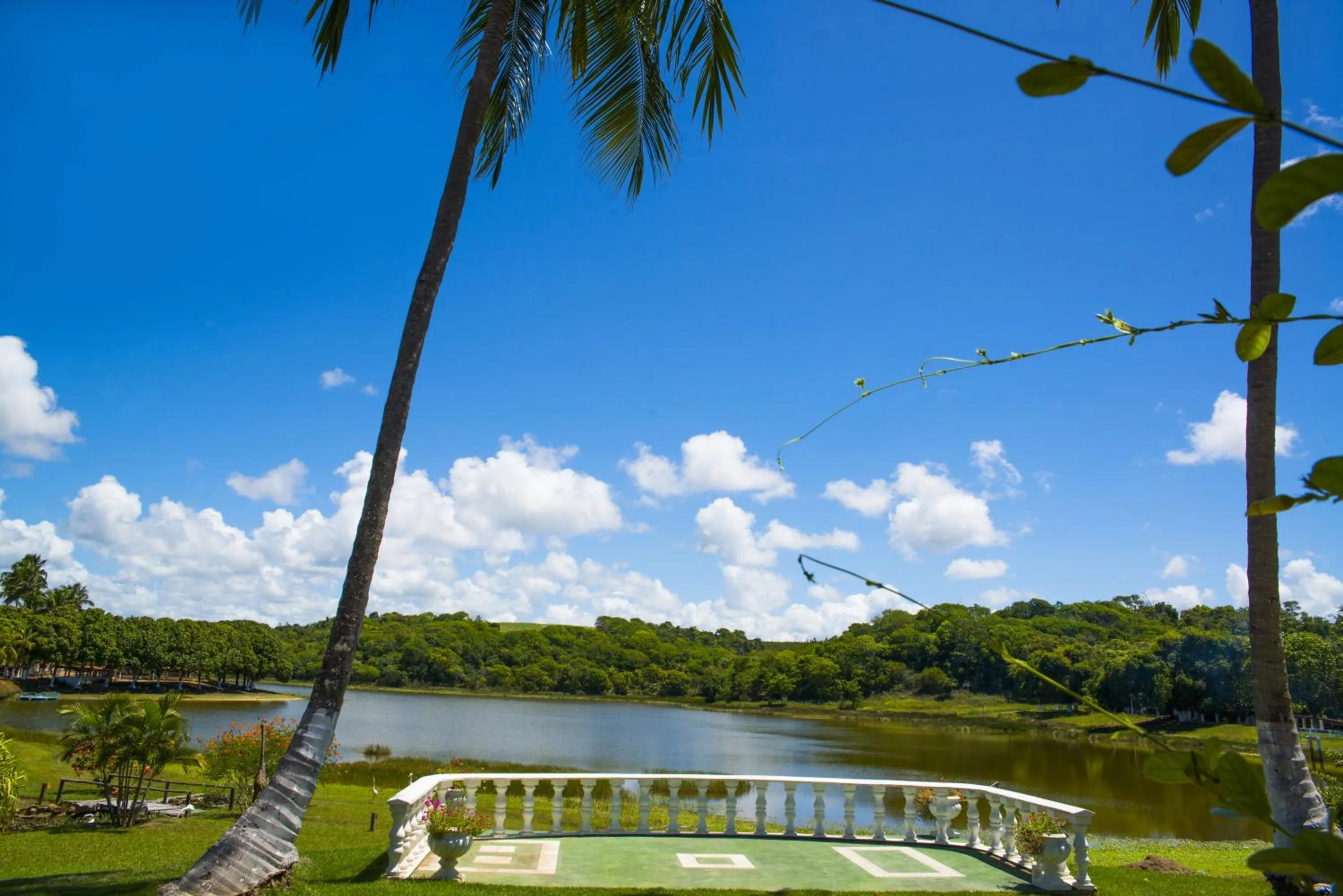 Balcony/Terrace in Fazenda Fiore Resort