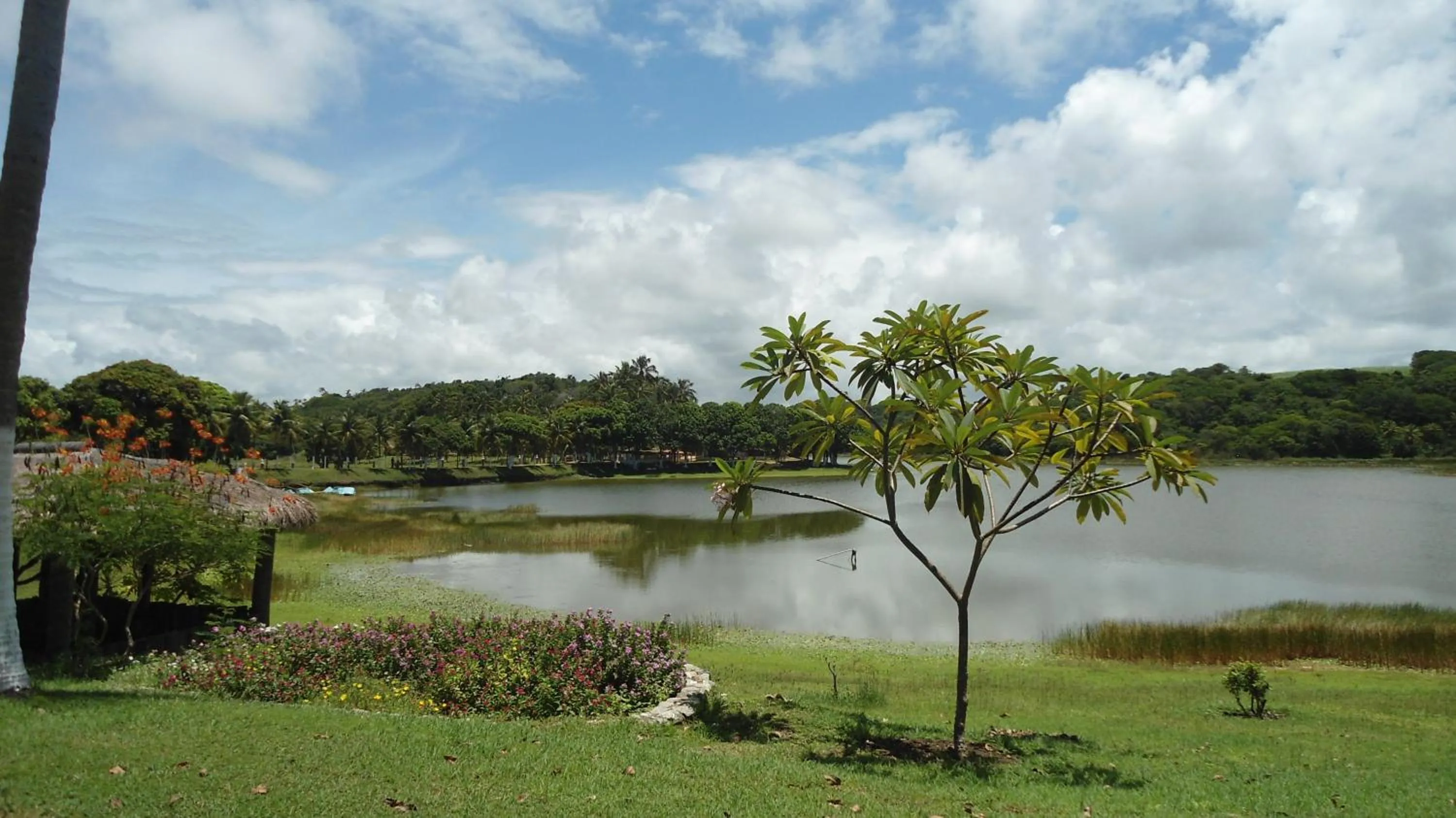 Garden view in Fazenda Fiore Resort