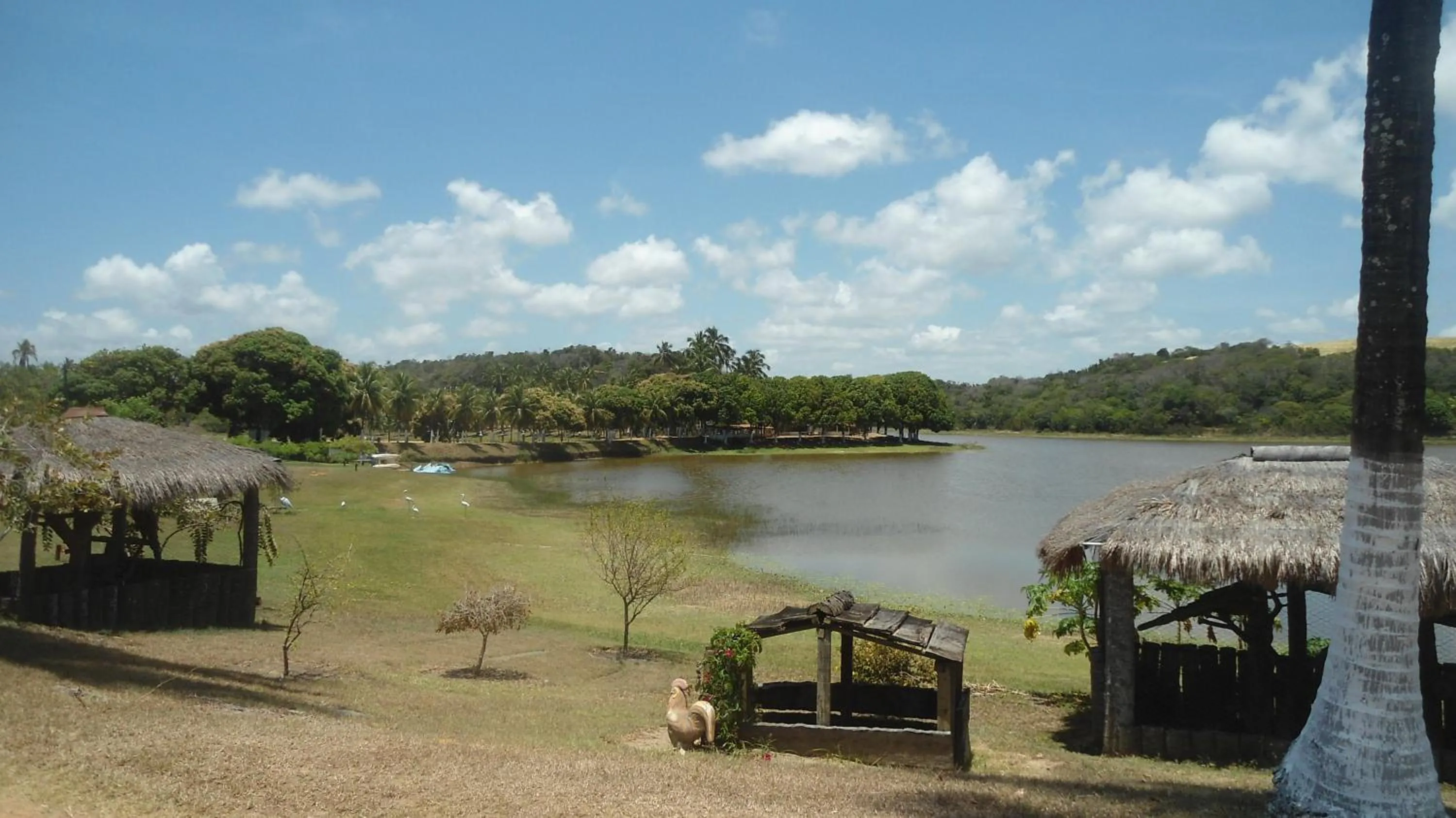 Garden in Fazenda Fiore Resort