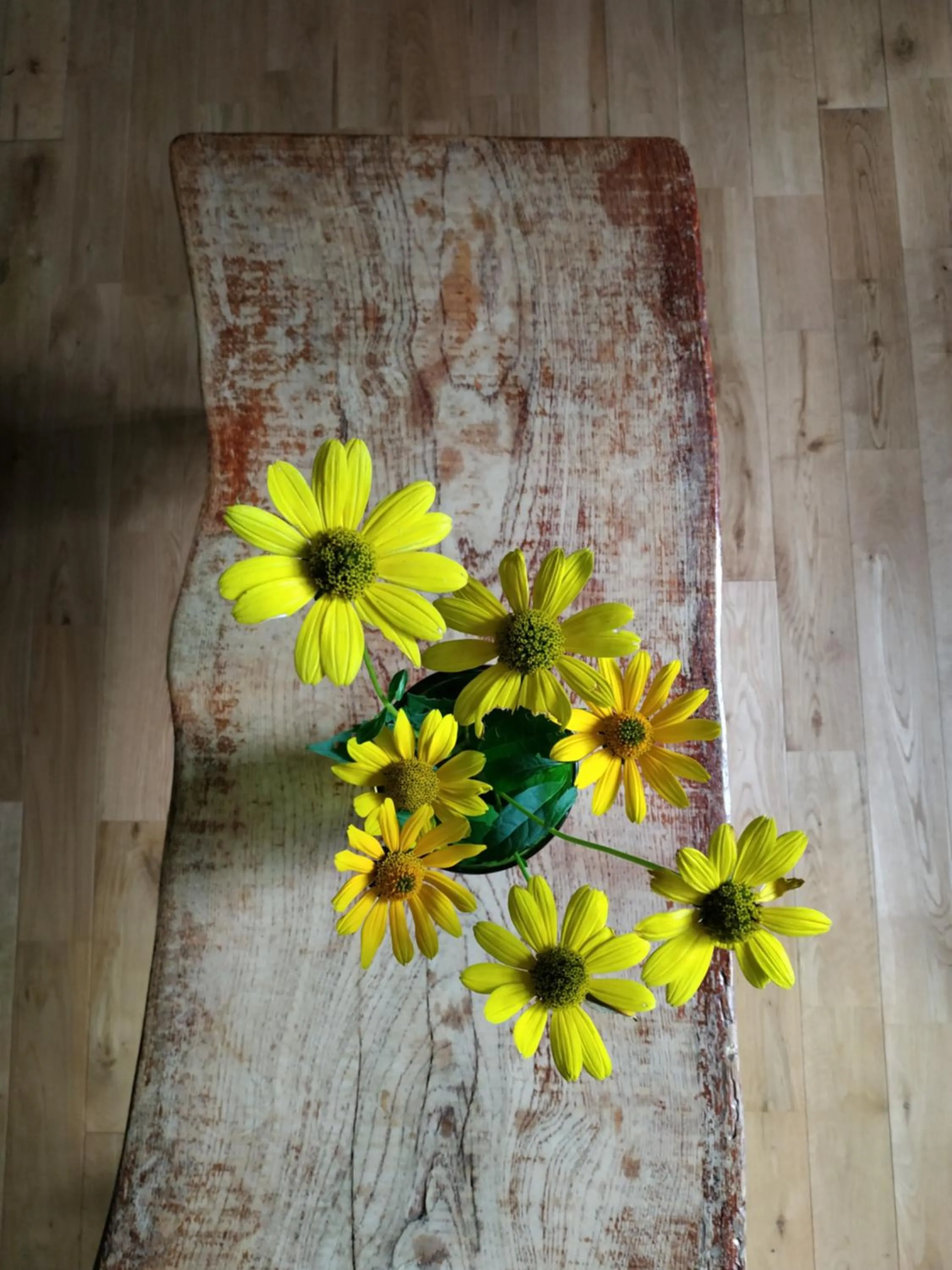 Kee Lodge Hakuba Echoland