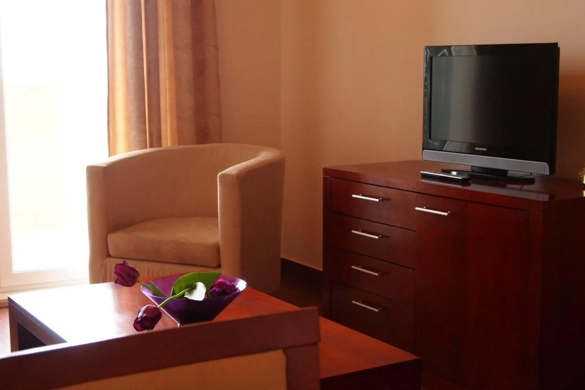 TV and multimedia in Apartments Agava