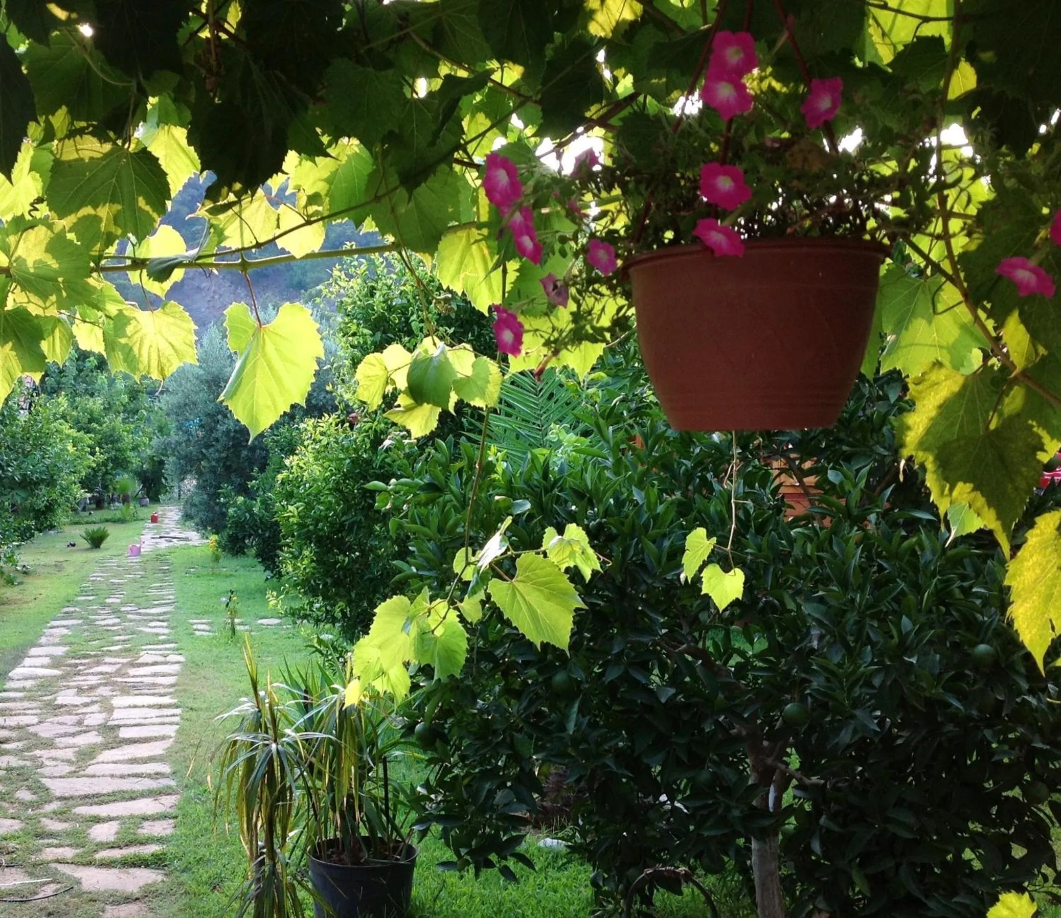 Spring in Turkuaz Bungalows