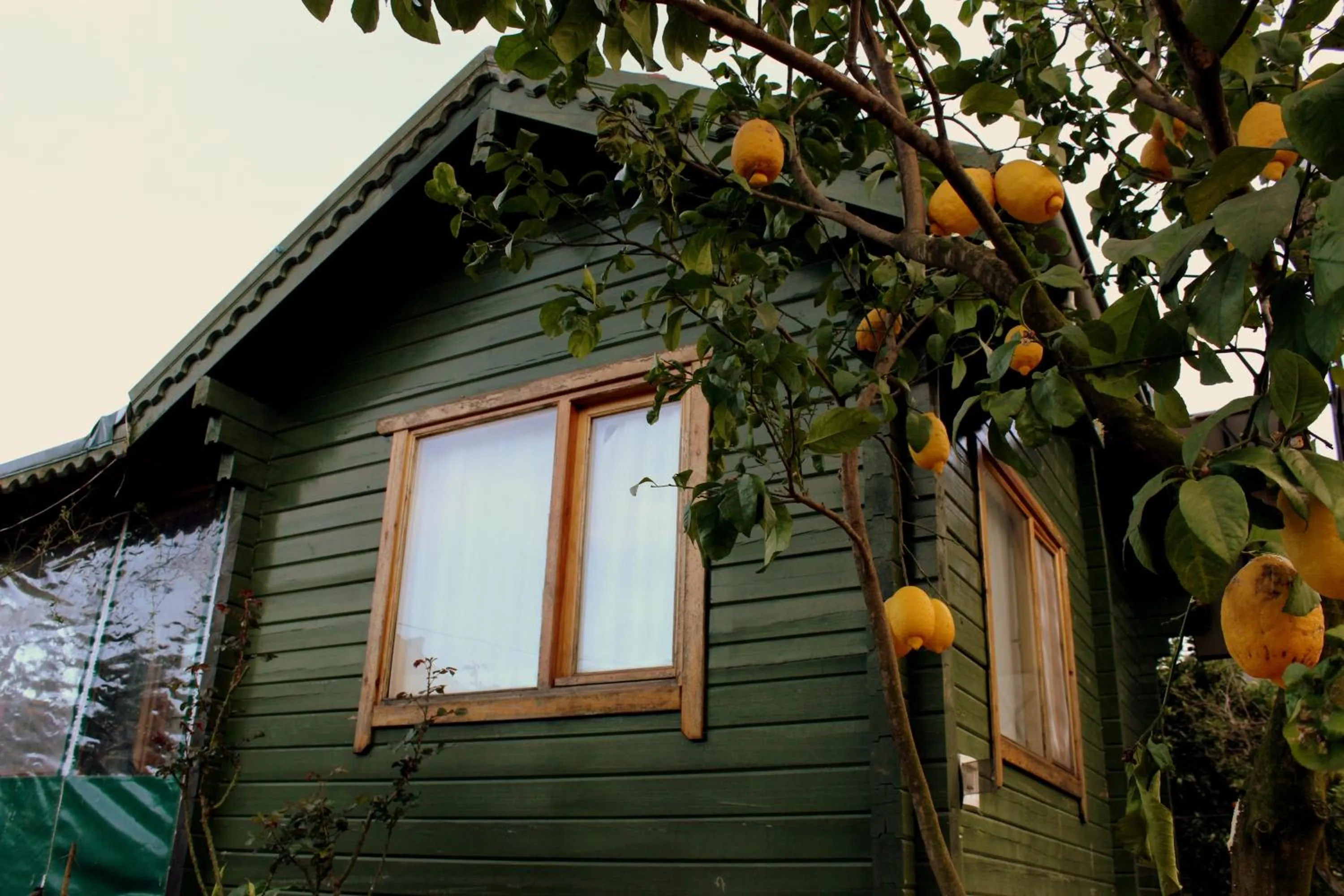Property building in Turkuaz Bungalows