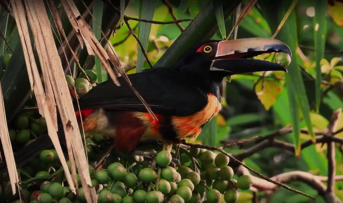 Natural landscape in Boutique Hotel Luna Azul