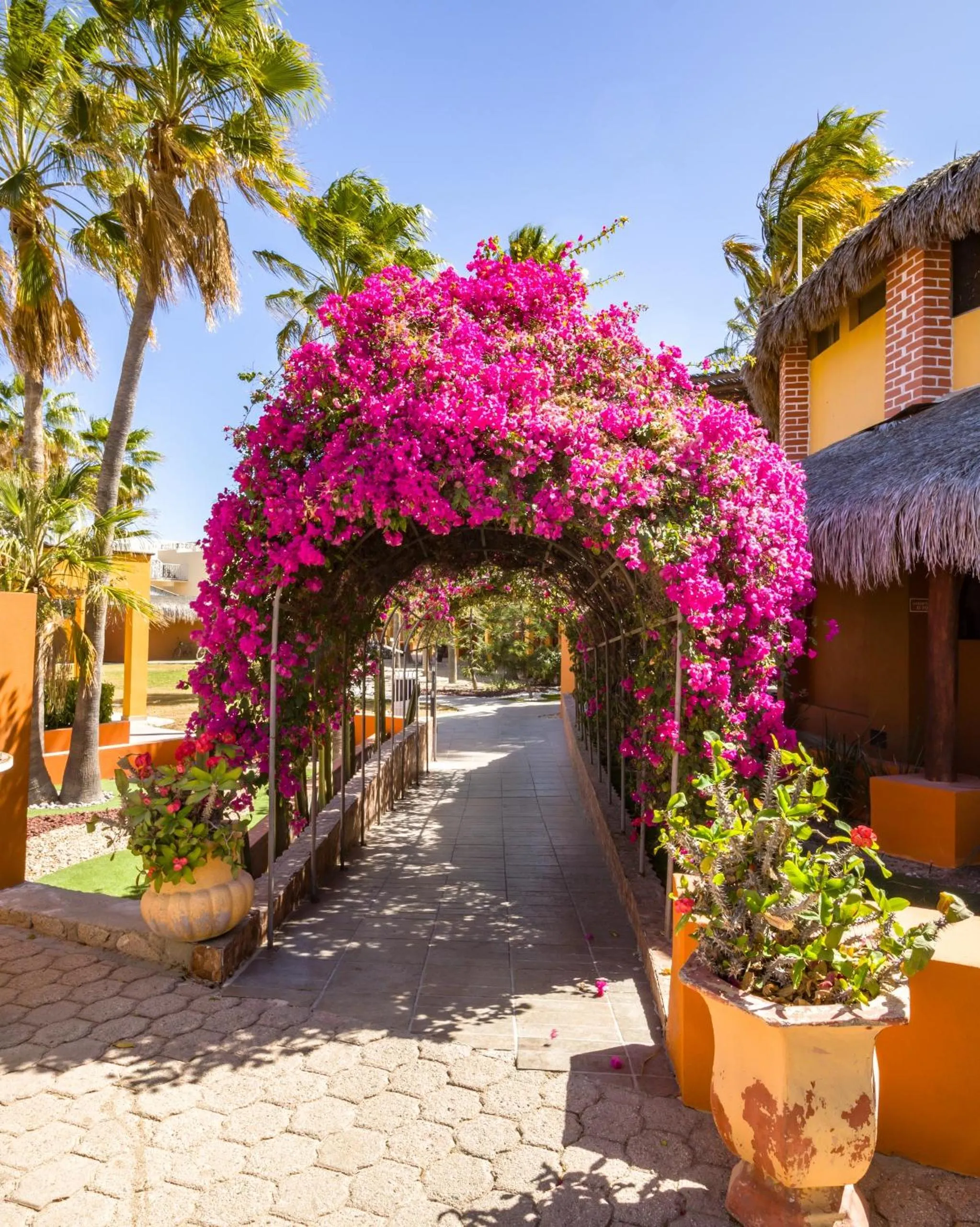 Other in Hotel Playa Del Sol