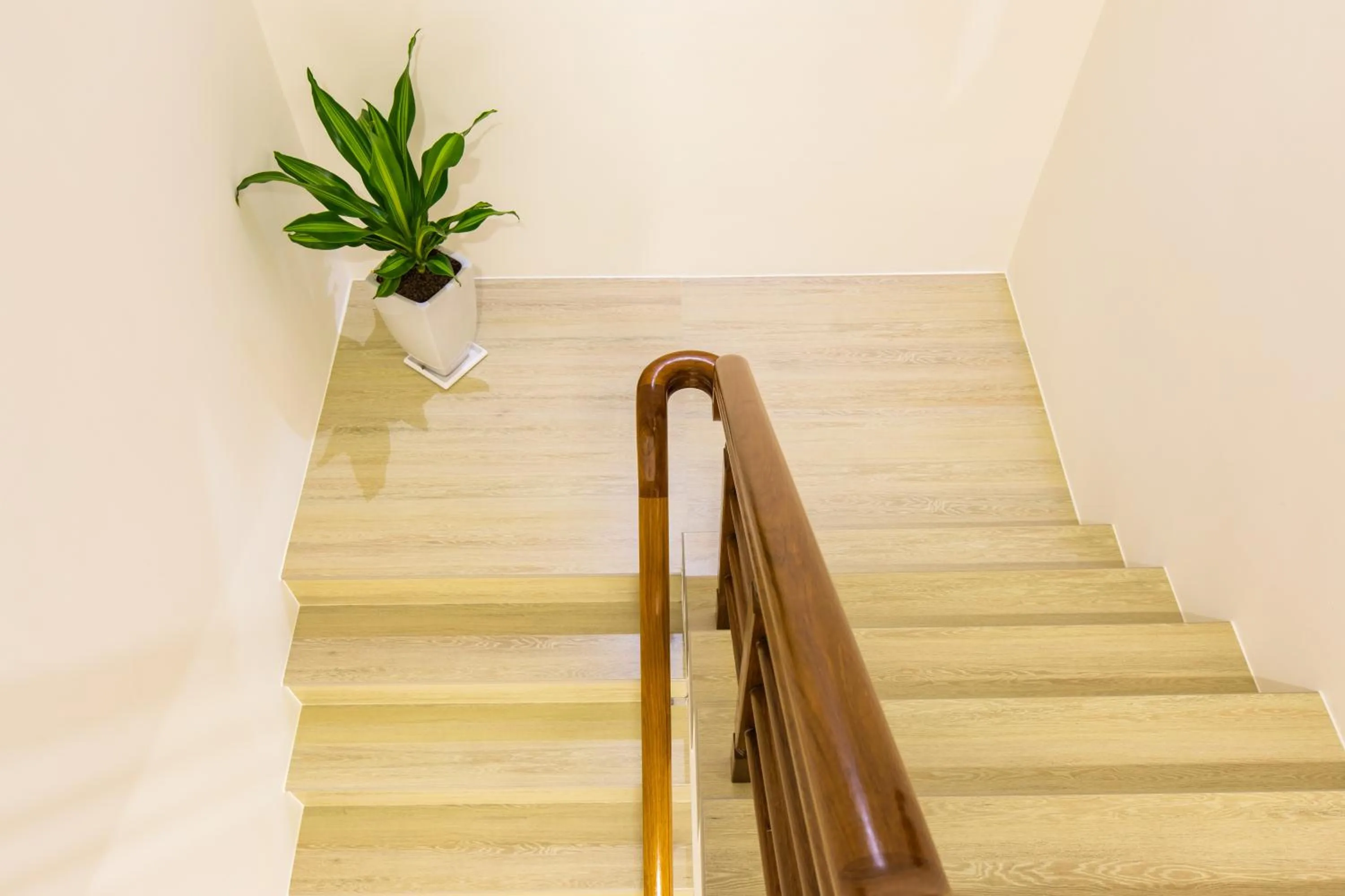 Decorative detail in Araucaria Residence