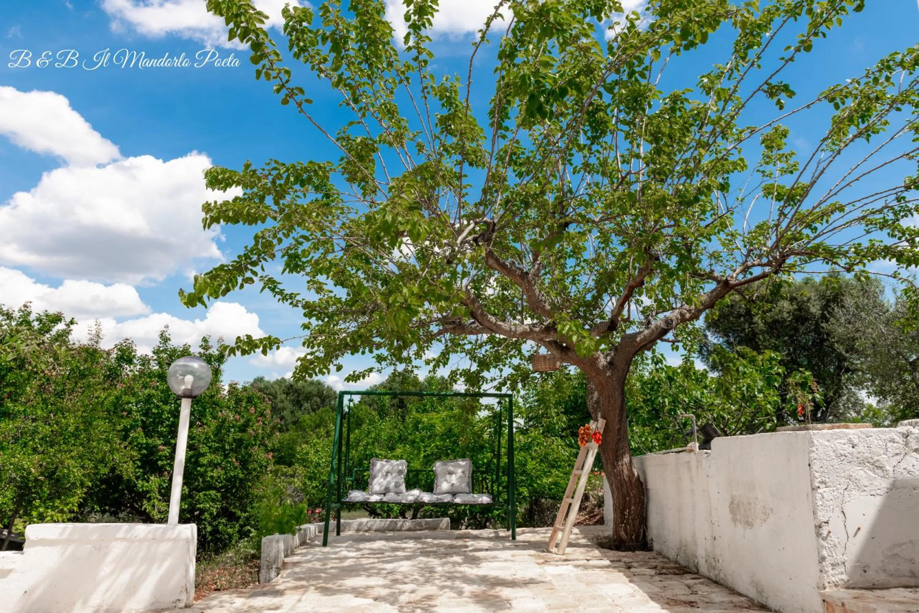 Il Mandorlo Poeta