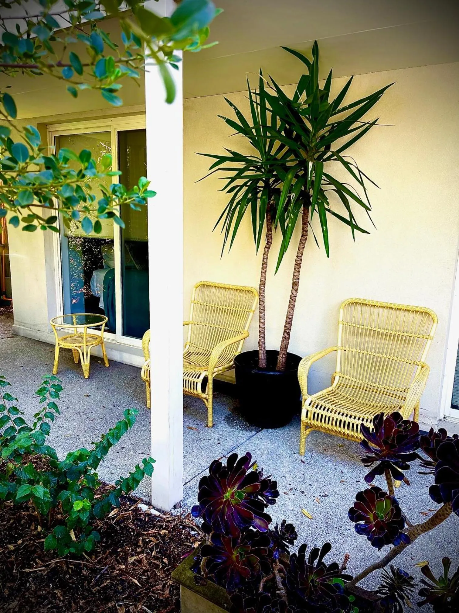 Garden view in Captains Retreat Apartments and Cottages