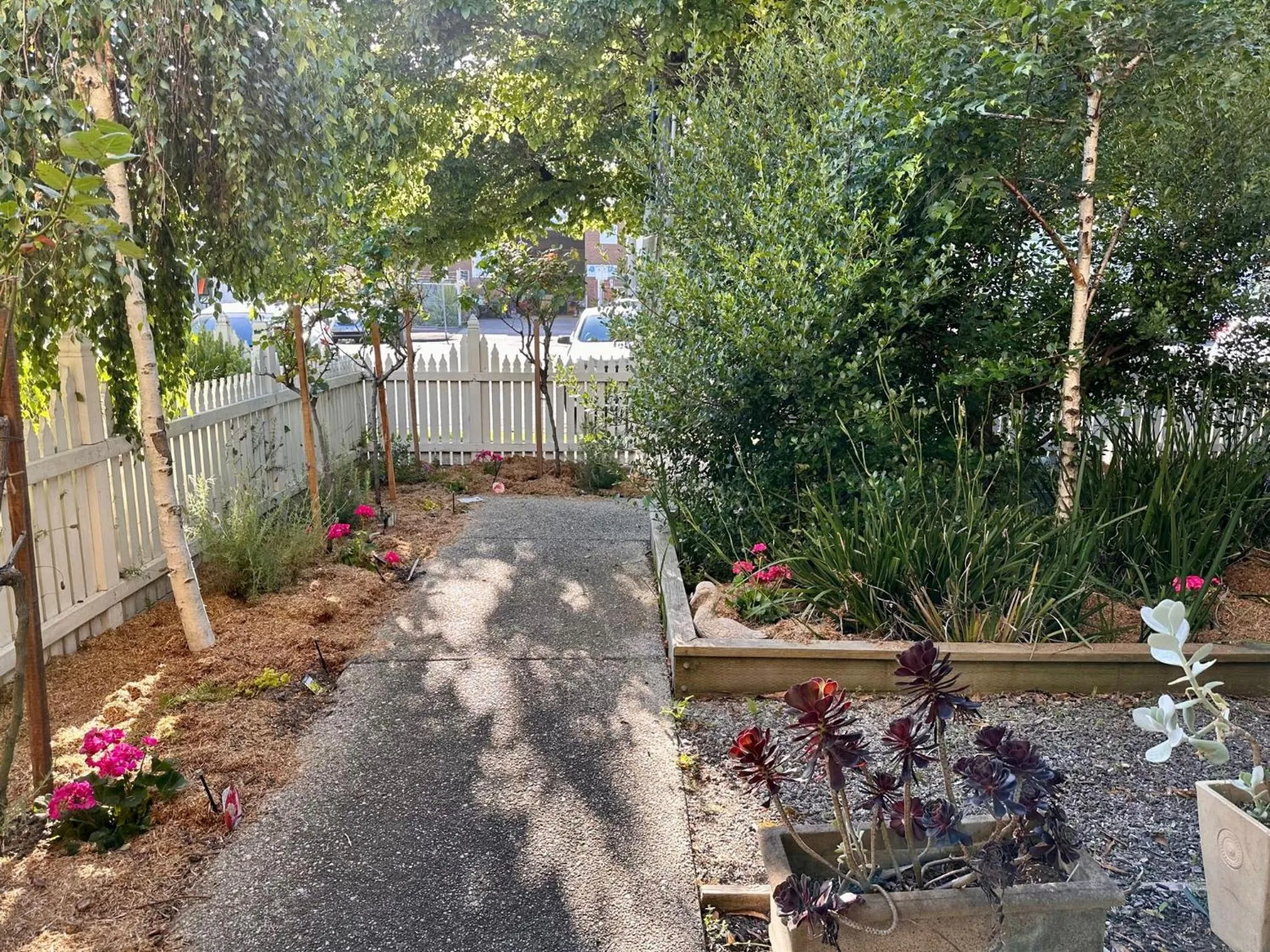 Garden view in Captains Retreat Apartments and Cottages
