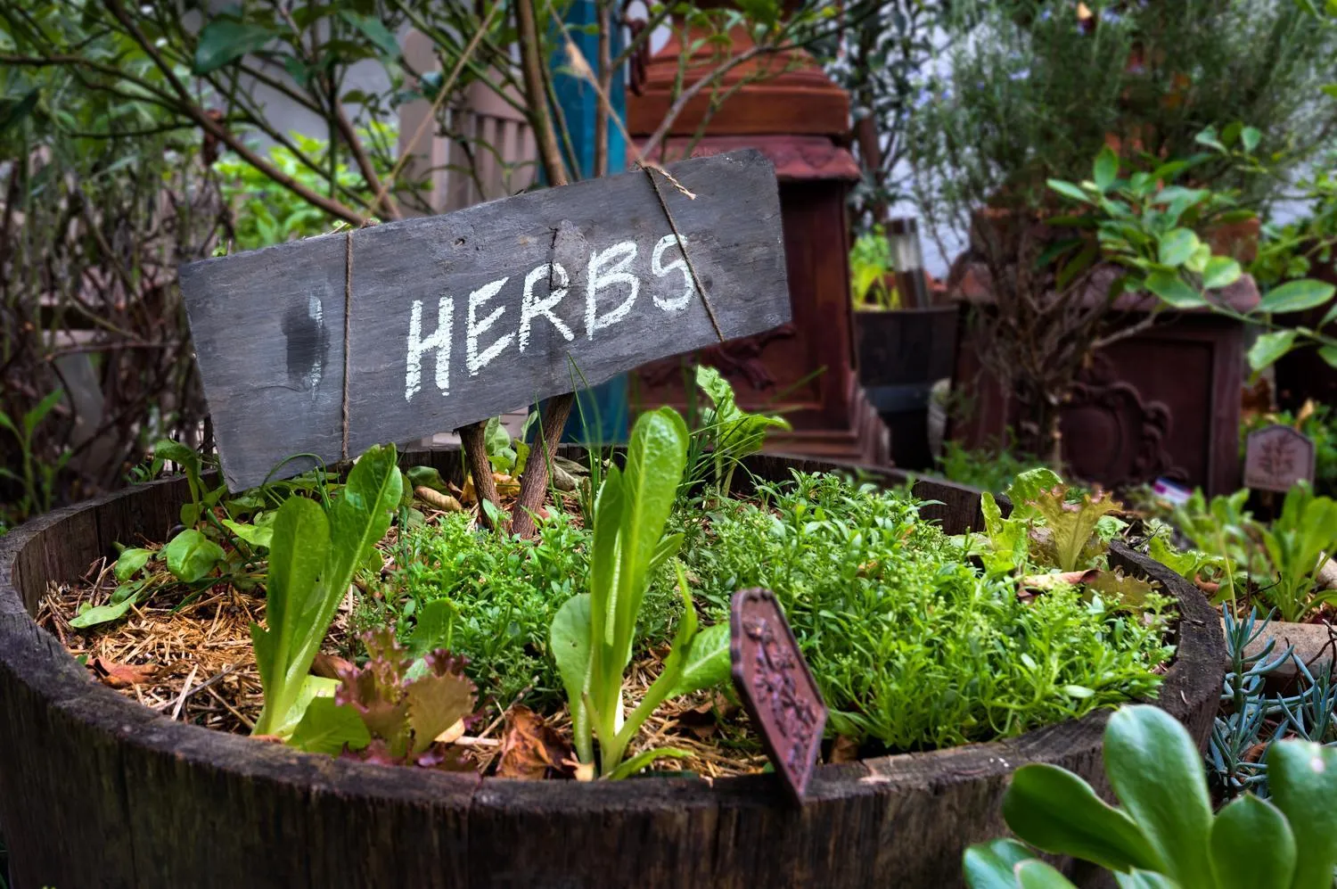 Garden in Captains Retreat Apartments and Cottages