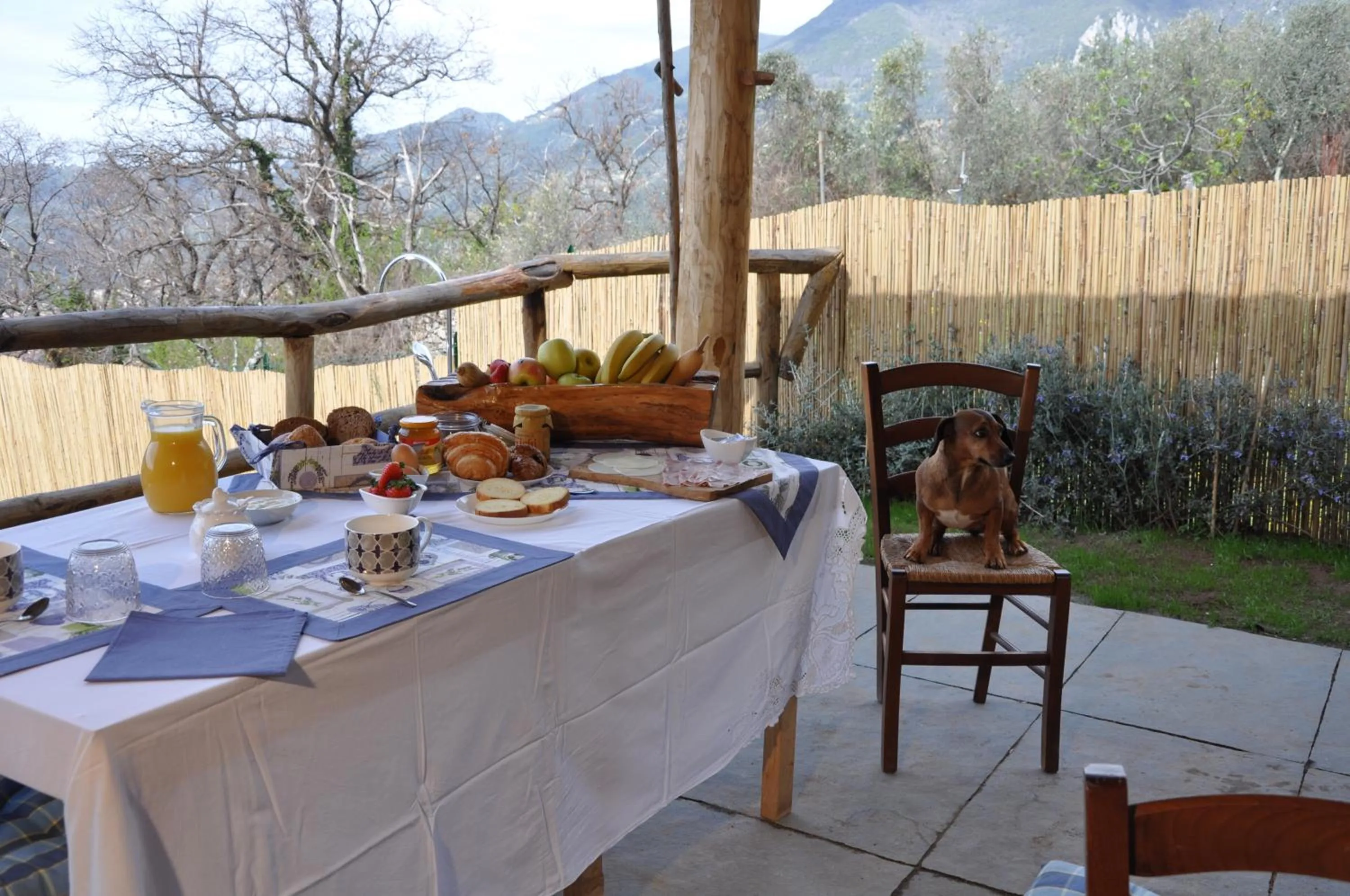 Food and drinks in B&B IL VOLO