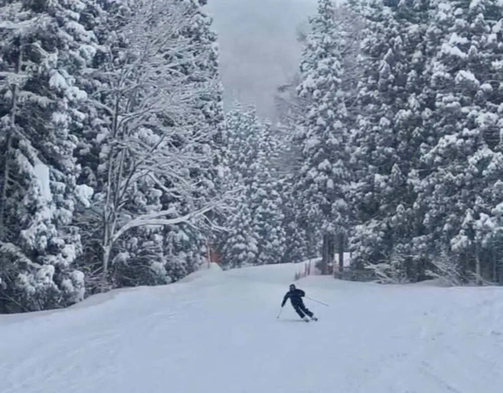 Bamboo-Hill NozawaOnsen