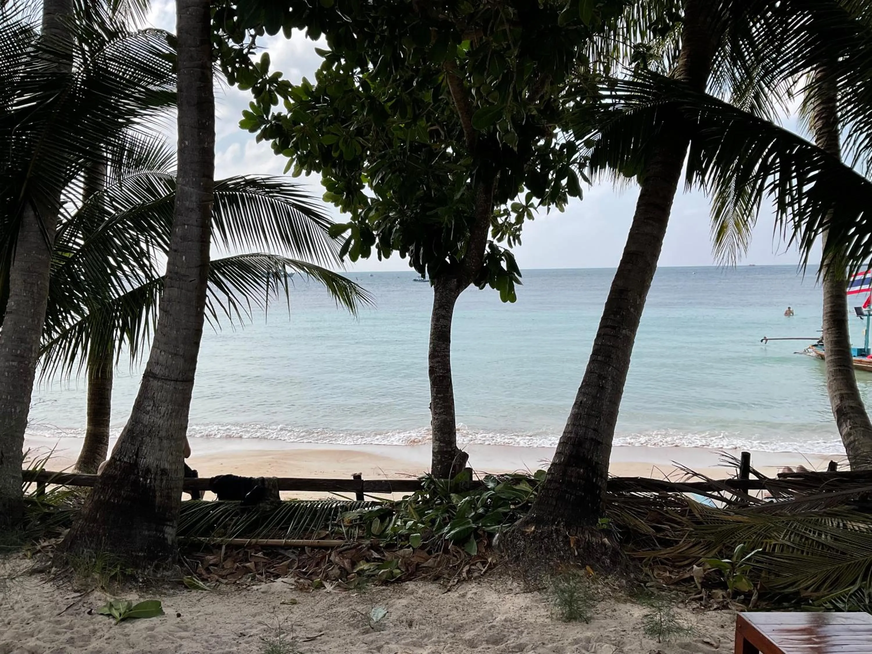 Beach in Island Spa Resort