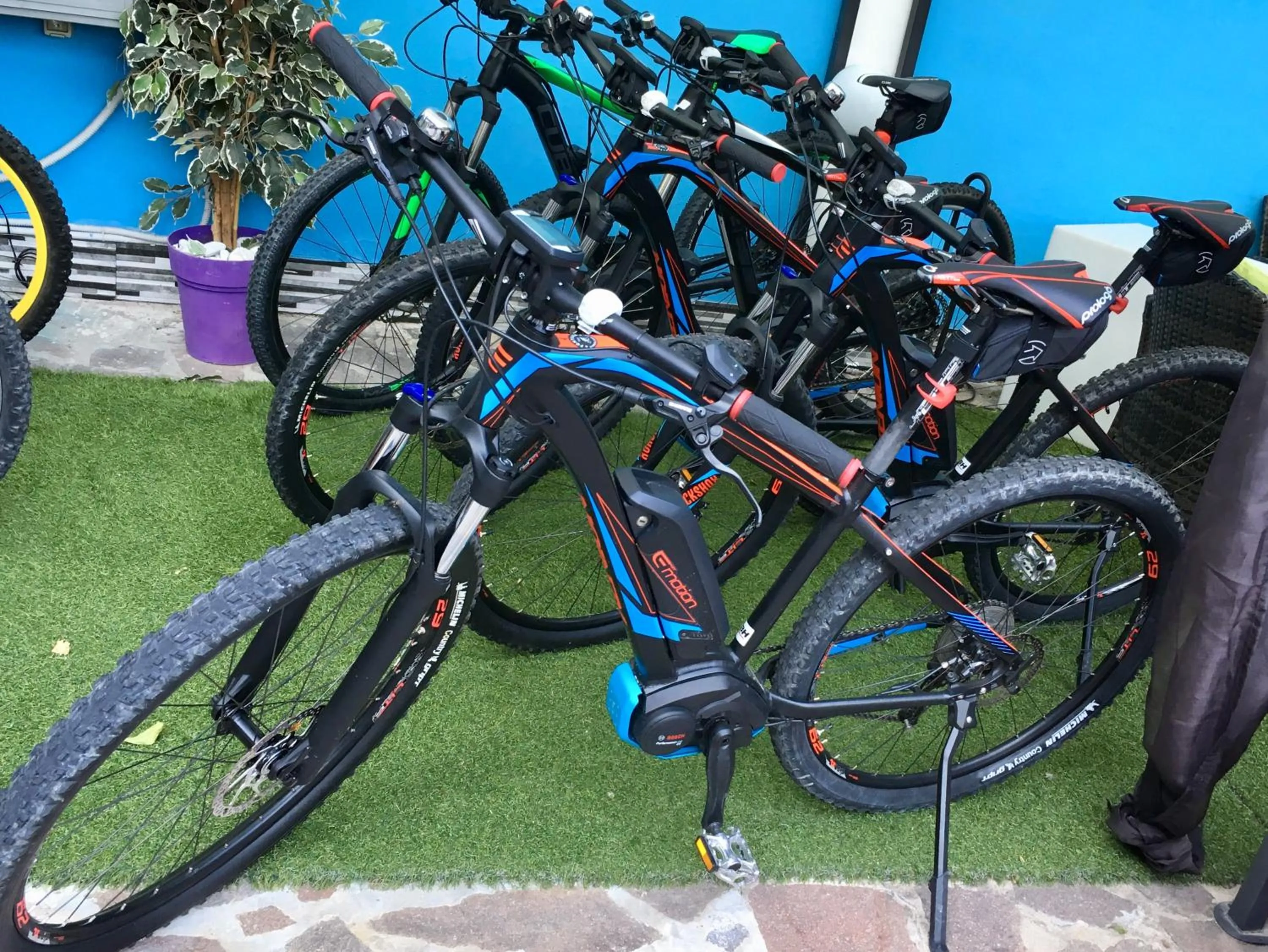 Area and facilities in Casa Canarino