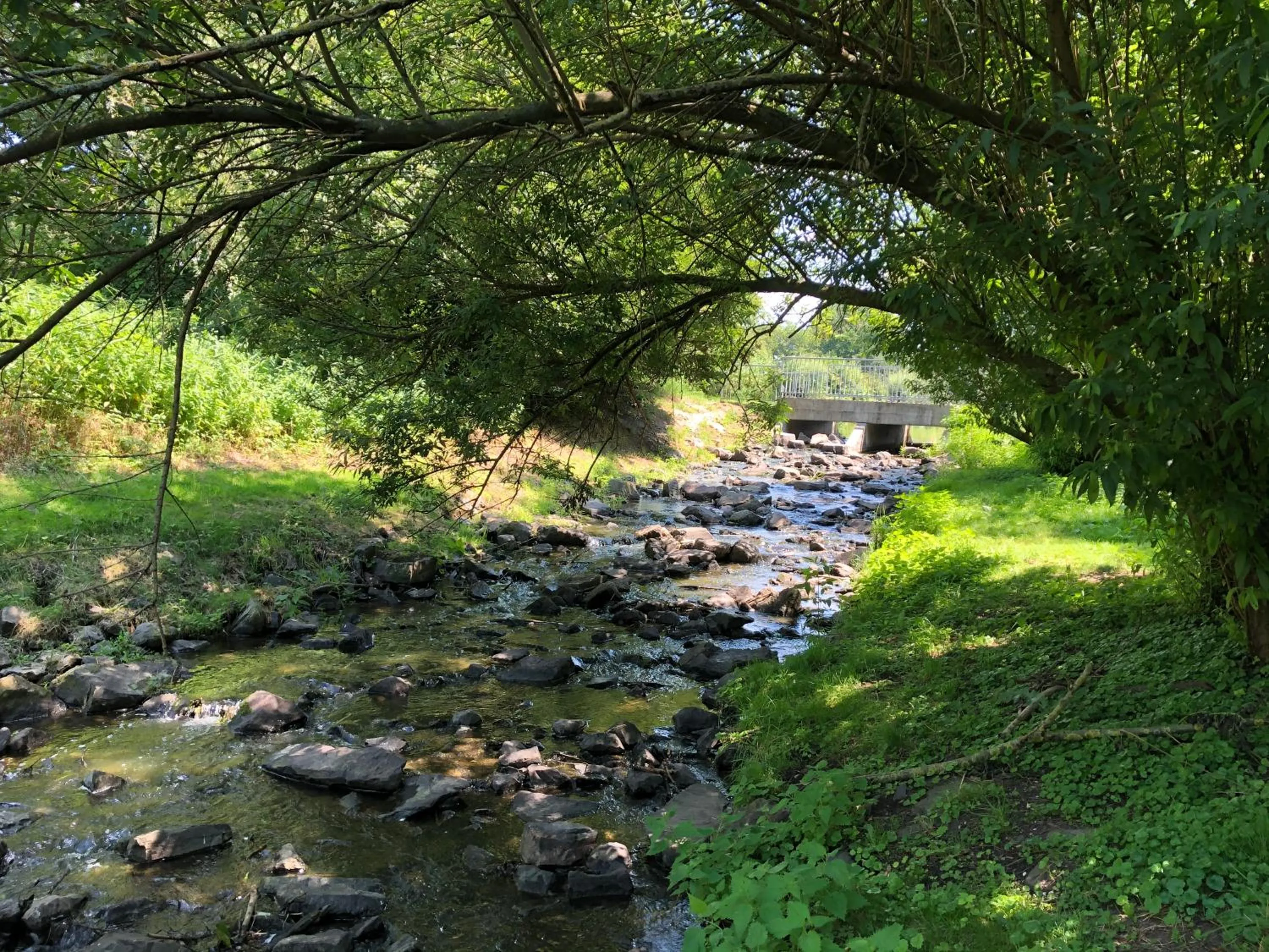 Natural landscape in Hotel Haus am Rieth