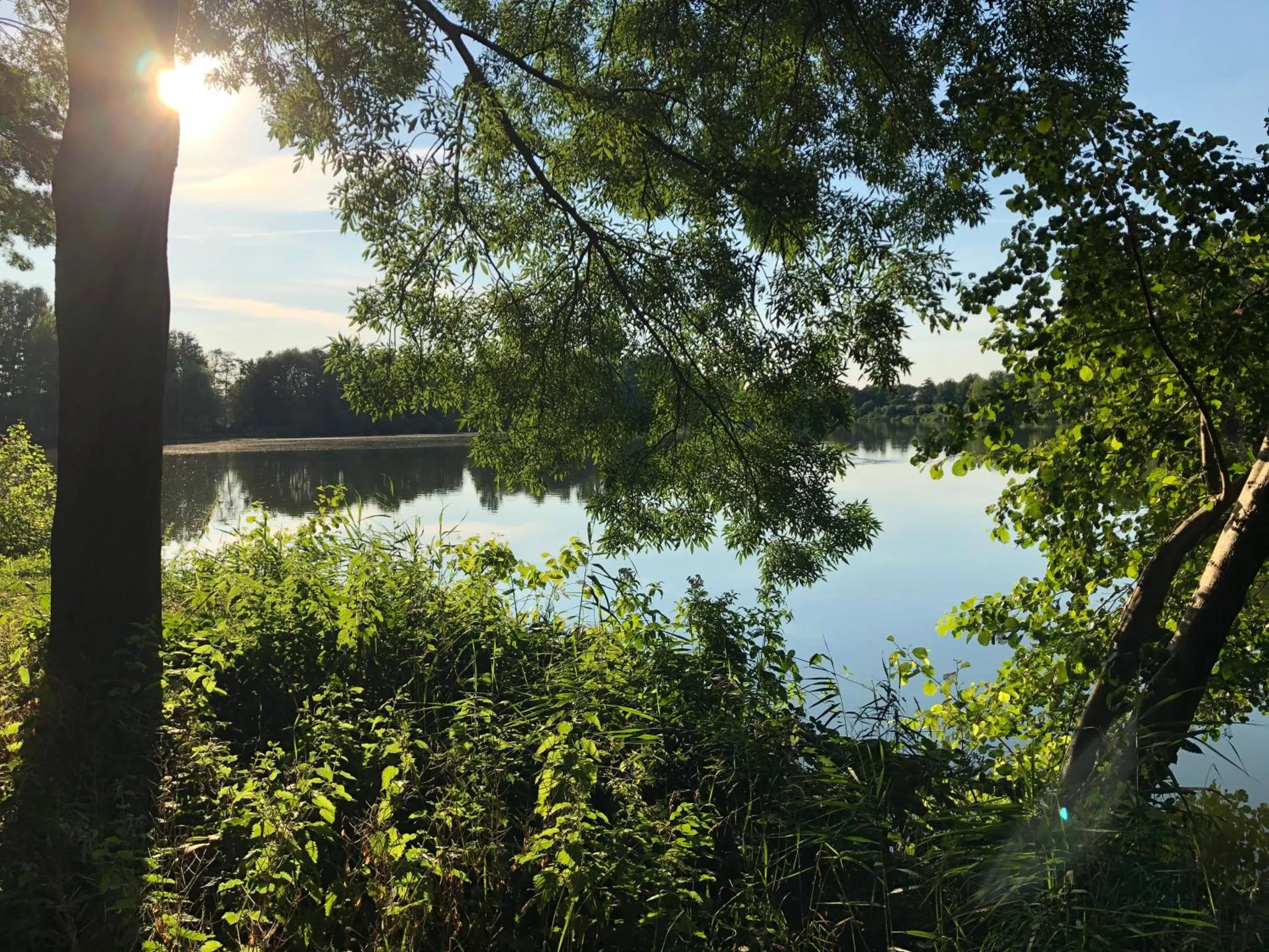 Natural landscape in Hotel Haus am Rieth