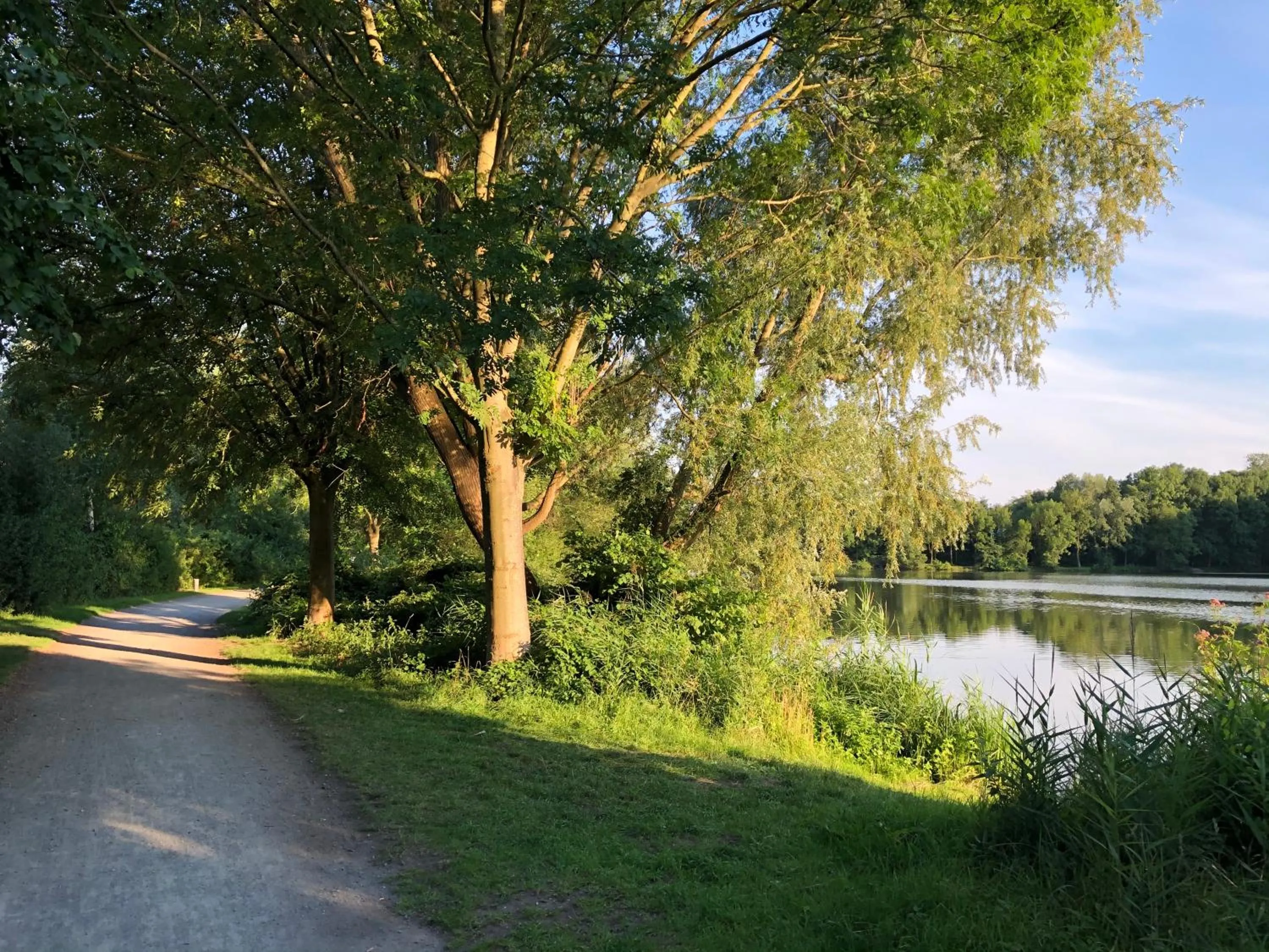 Natural landscape in Hotel Haus am Rieth