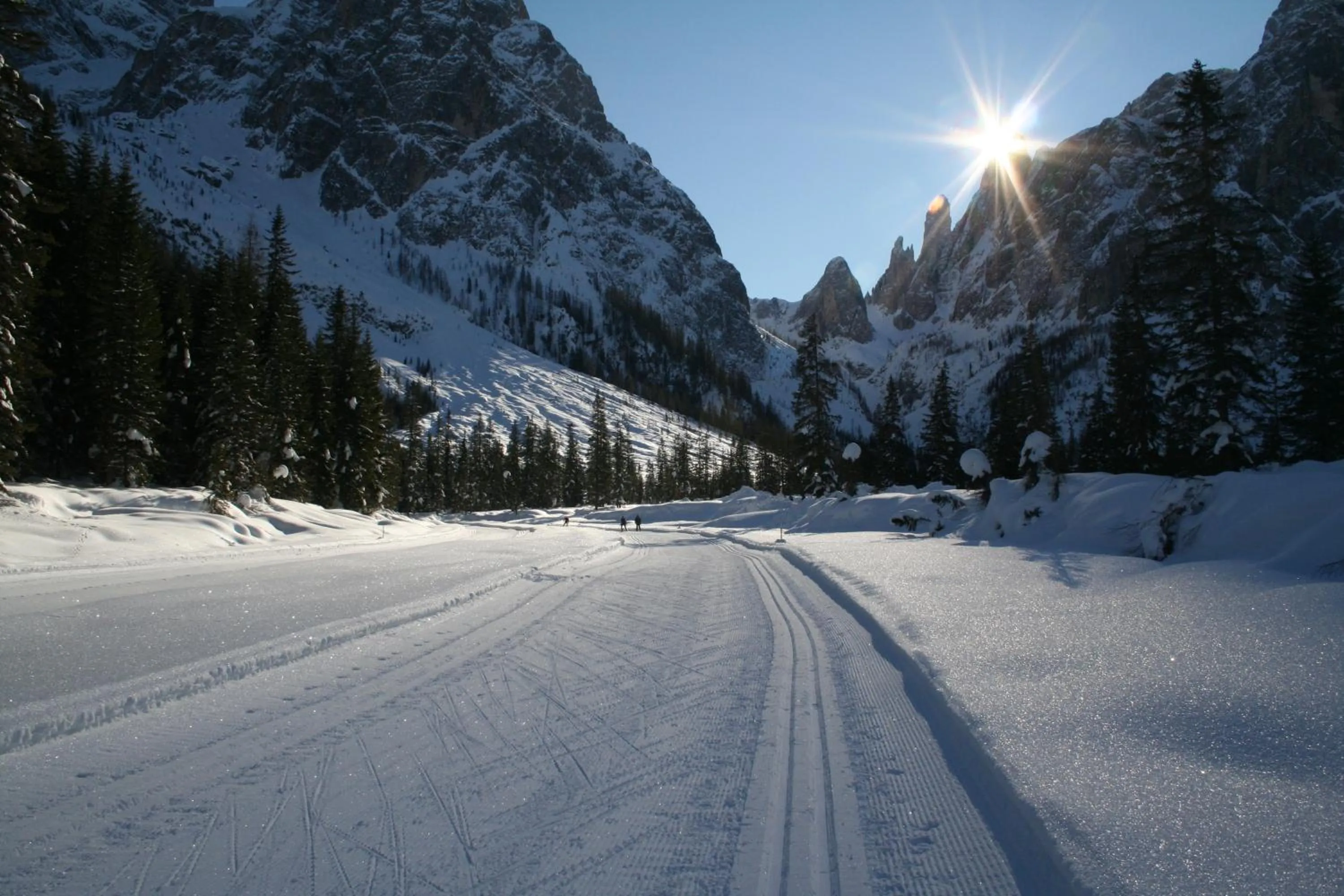 Natural landscape in Hotel Schoenblick
