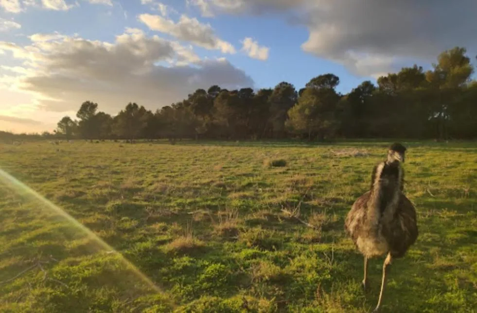 Garden in Domaine de la Matte