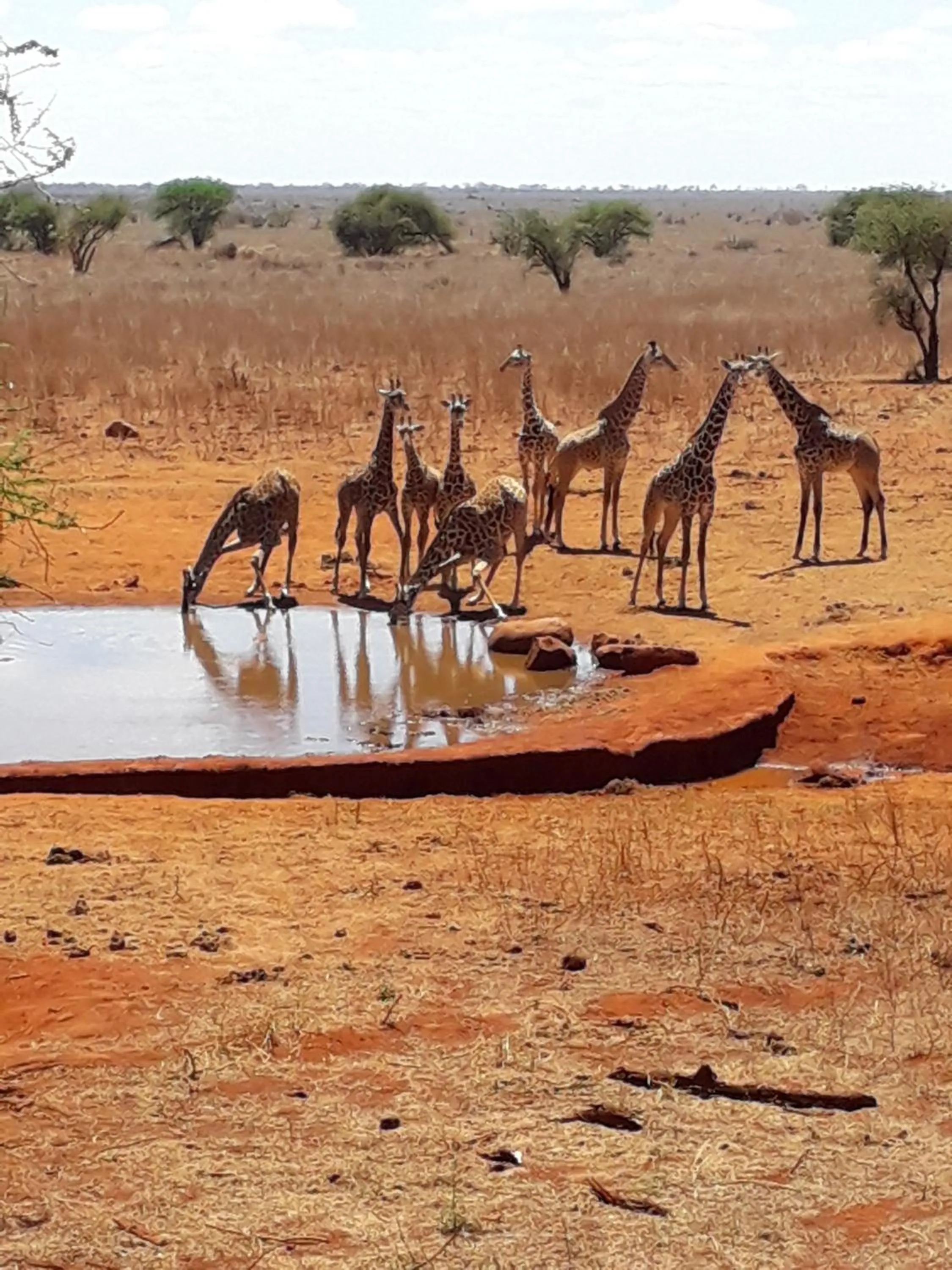 Off site in Aqua Resort