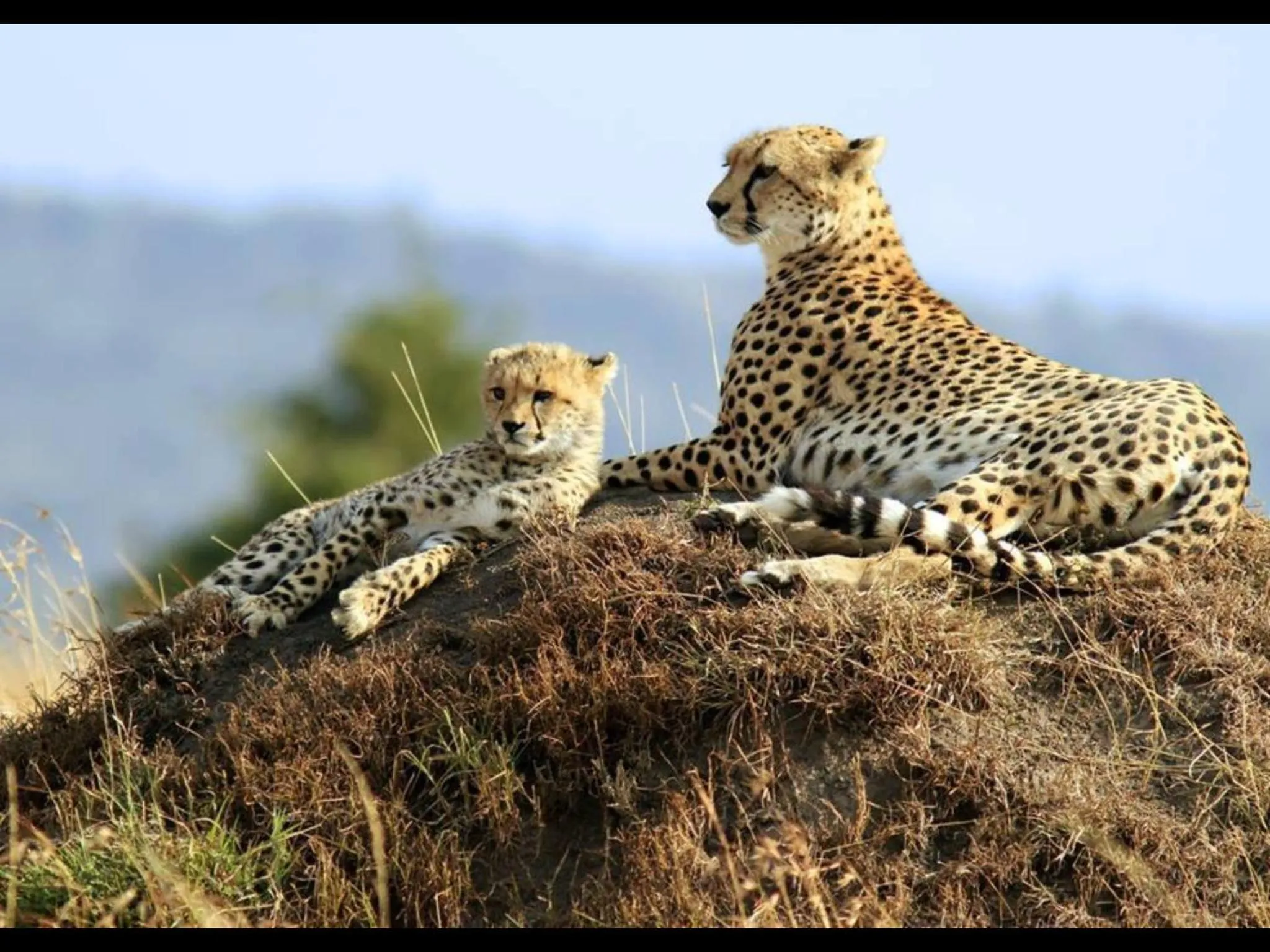 Off site in Aqua Resort