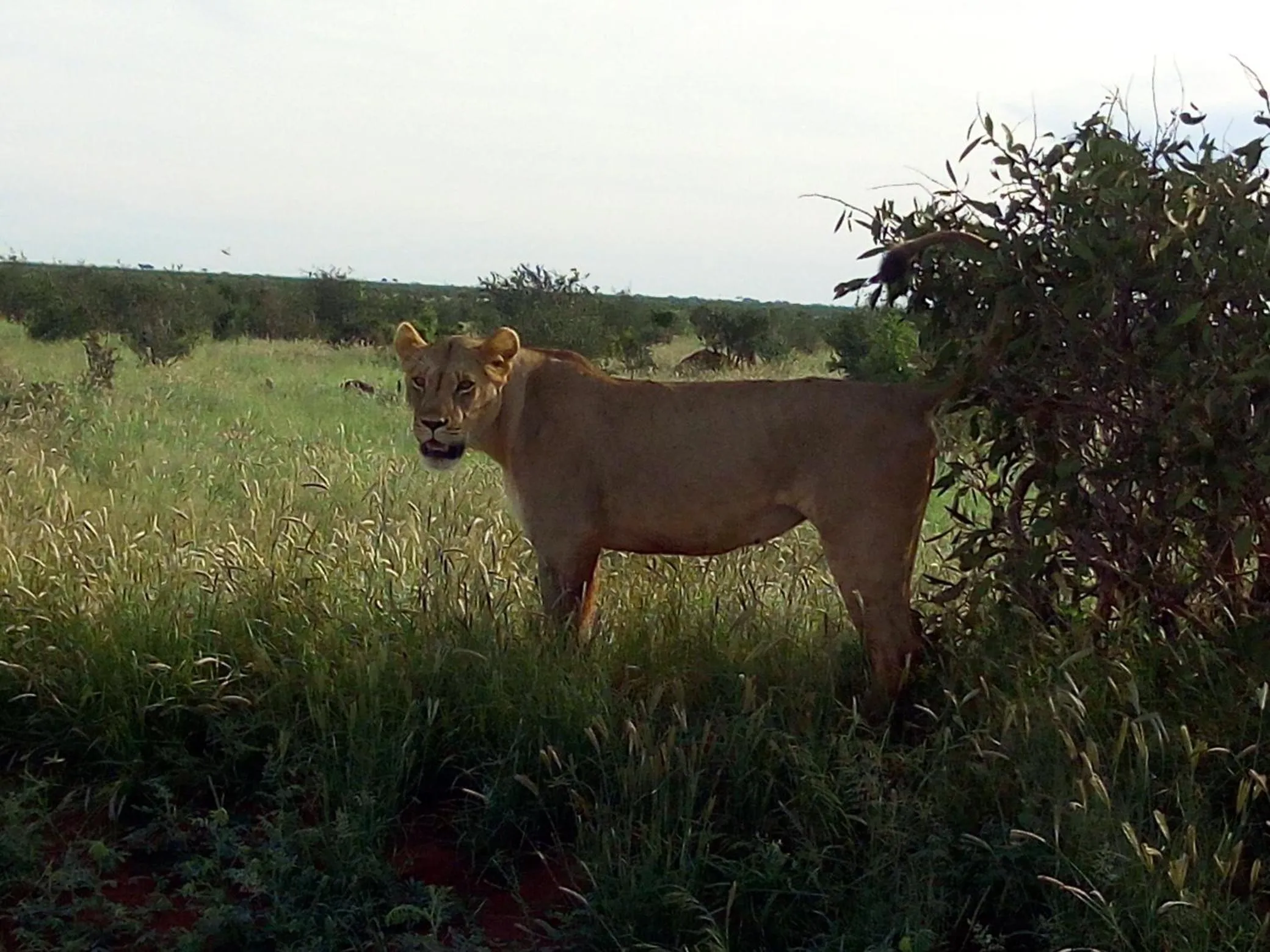 Off site in Aqua Resort