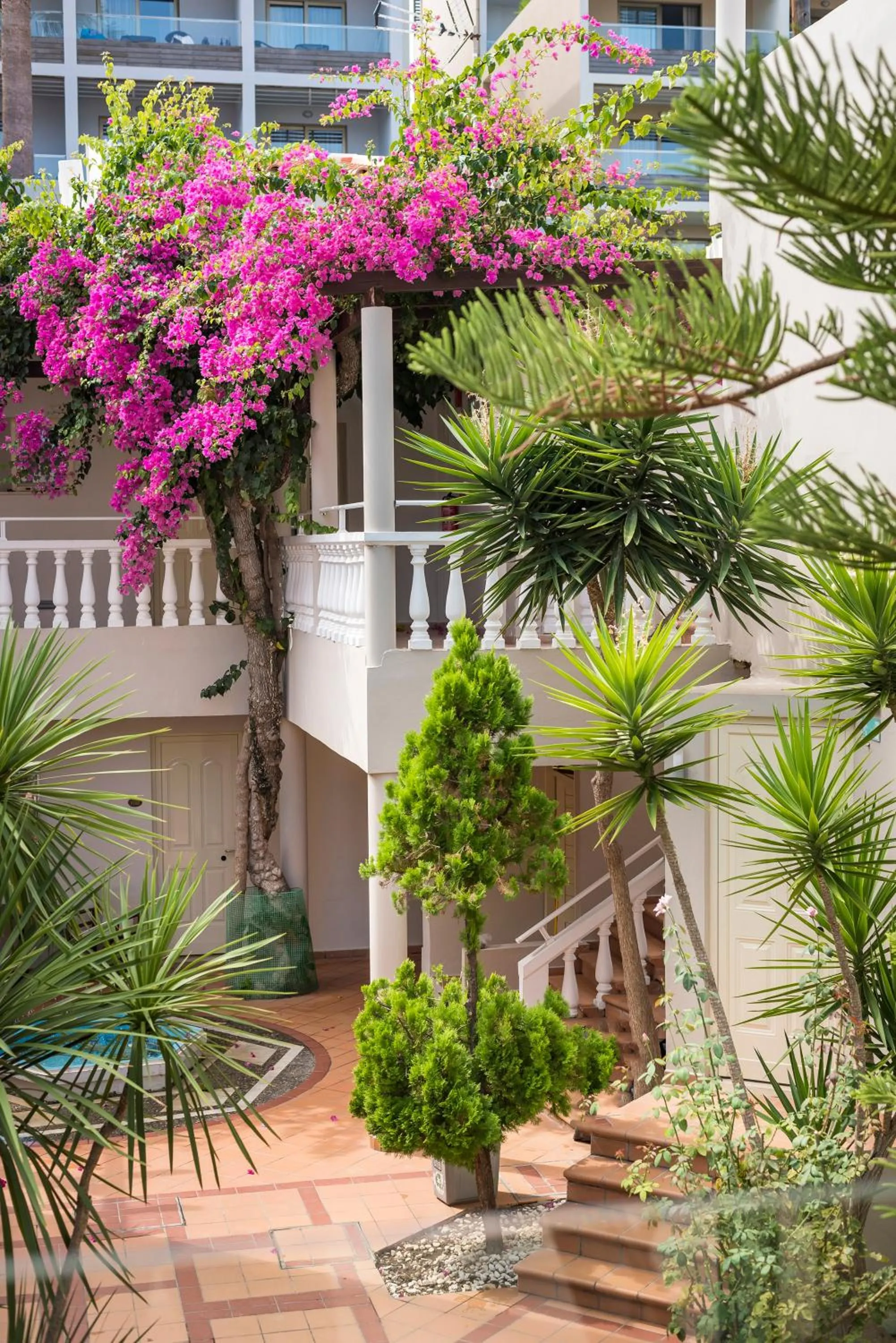 Property building in Elotis Suites