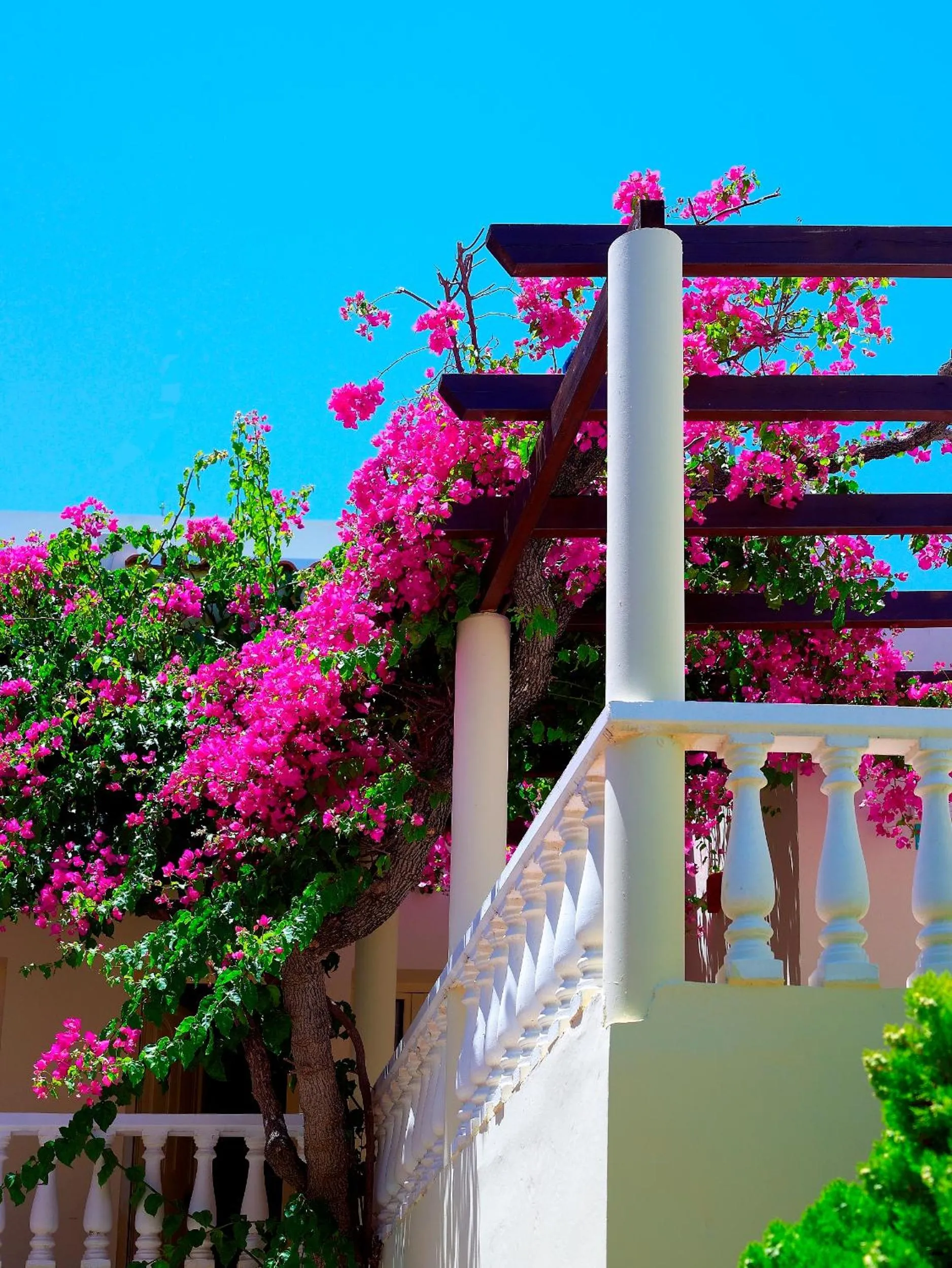 Balcony/Terrace in Elotis Suites